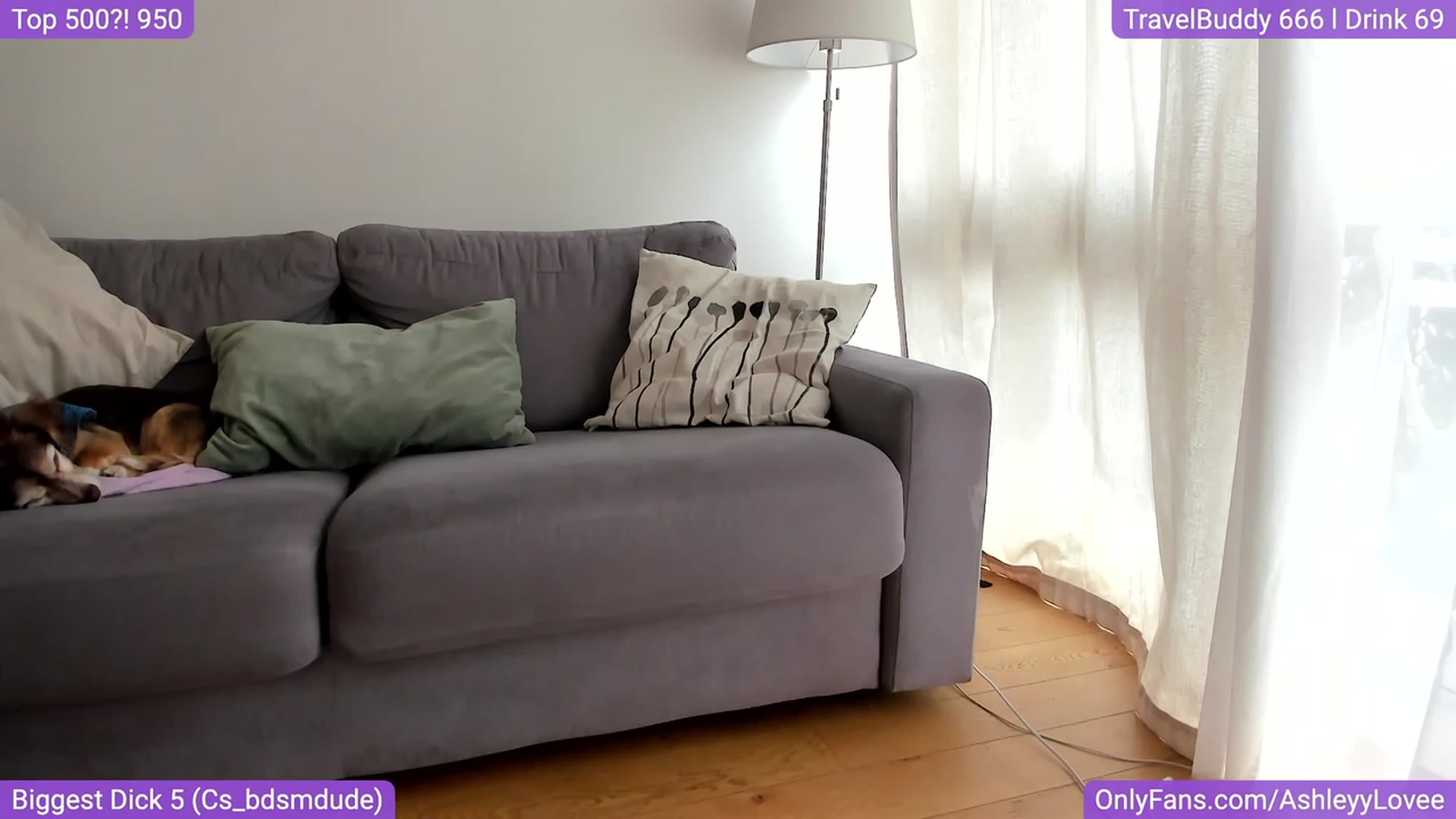 Gallery image thumbnail from AshleyyLovee's myfreecams stream on, 08/30/2023, 12:34 image 5 of 20