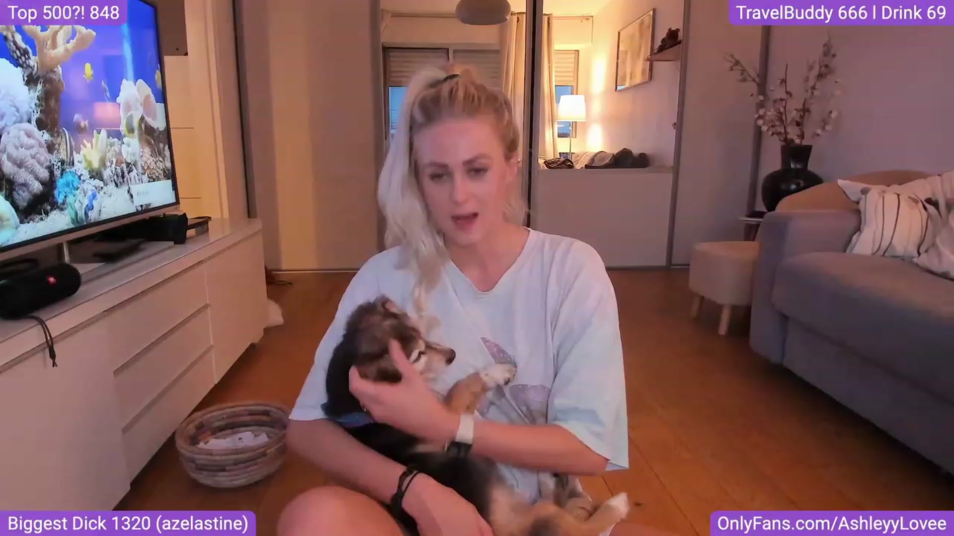 Gallery image thumbnail from AshleyyLovee's myfreecams stream on, 09/01/2023, 05:09 image 19 of 20