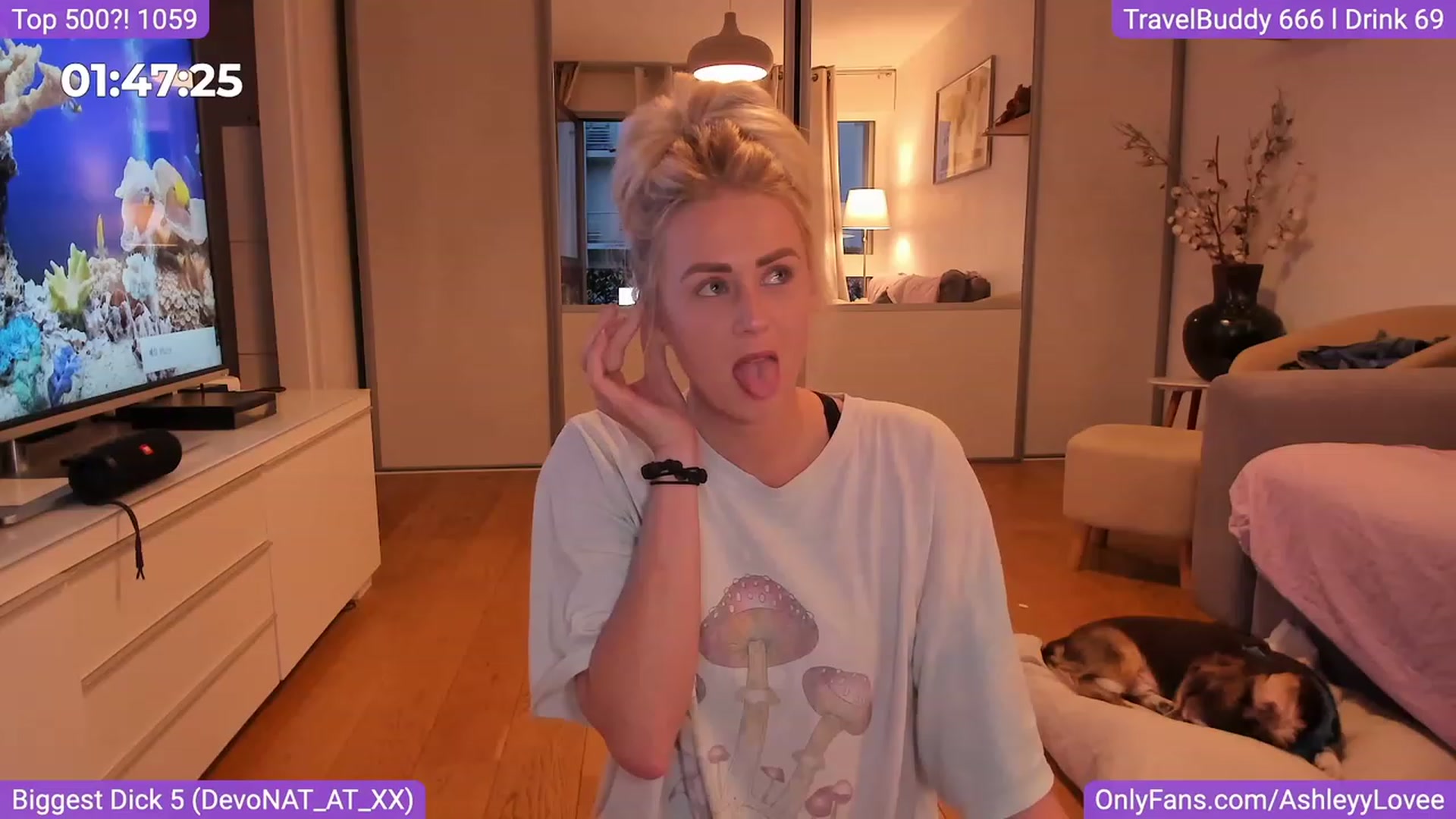 Gallery image thumbnail from AshleyyLovee's myfreecams stream on, 09/01/2023, 20:35 image 3 of 20