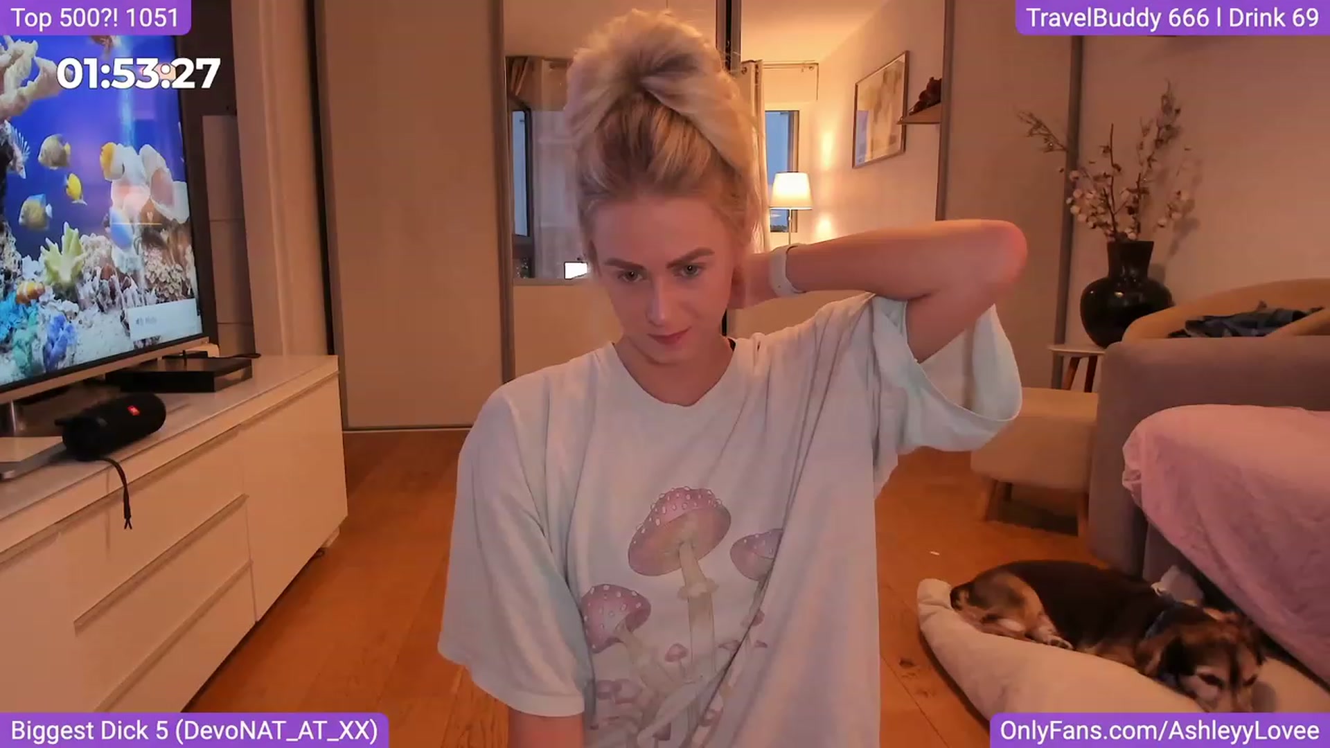 Gallery image thumbnail from AshleyyLovee's myfreecams stream on, 09/01/2023, 20:35 image 2 of 20