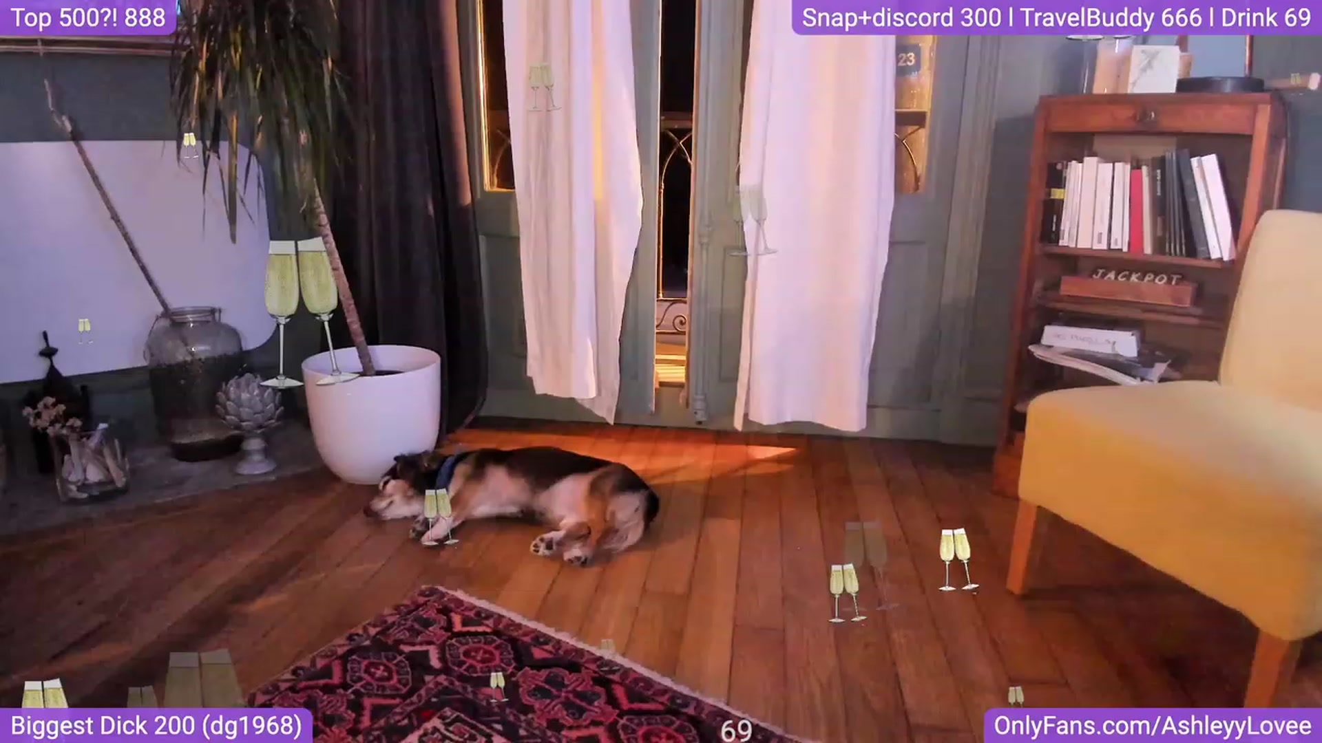 Gallery image thumbnail from AshleyyLovee's myfreecams stream on, 09/09/2023, 24:46 image 5 of 20