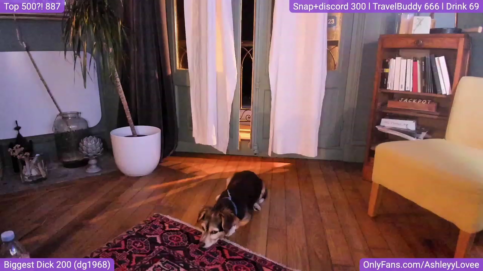 Gallery image thumbnail from AshleyyLovee's myfreecams stream on, 09/09/2023, 24:46 image 12 of 20