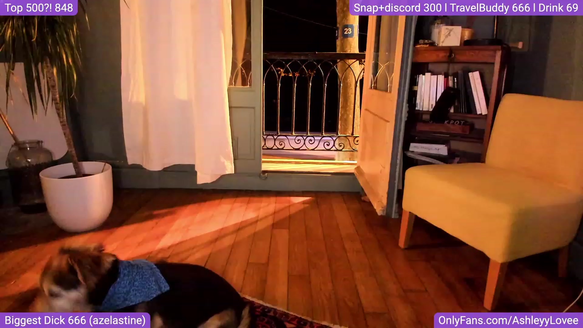 Gallery image thumbnail from AshleyyLovee's myfreecams stream on, 09/11/2023, 22:19 image 1 of 20