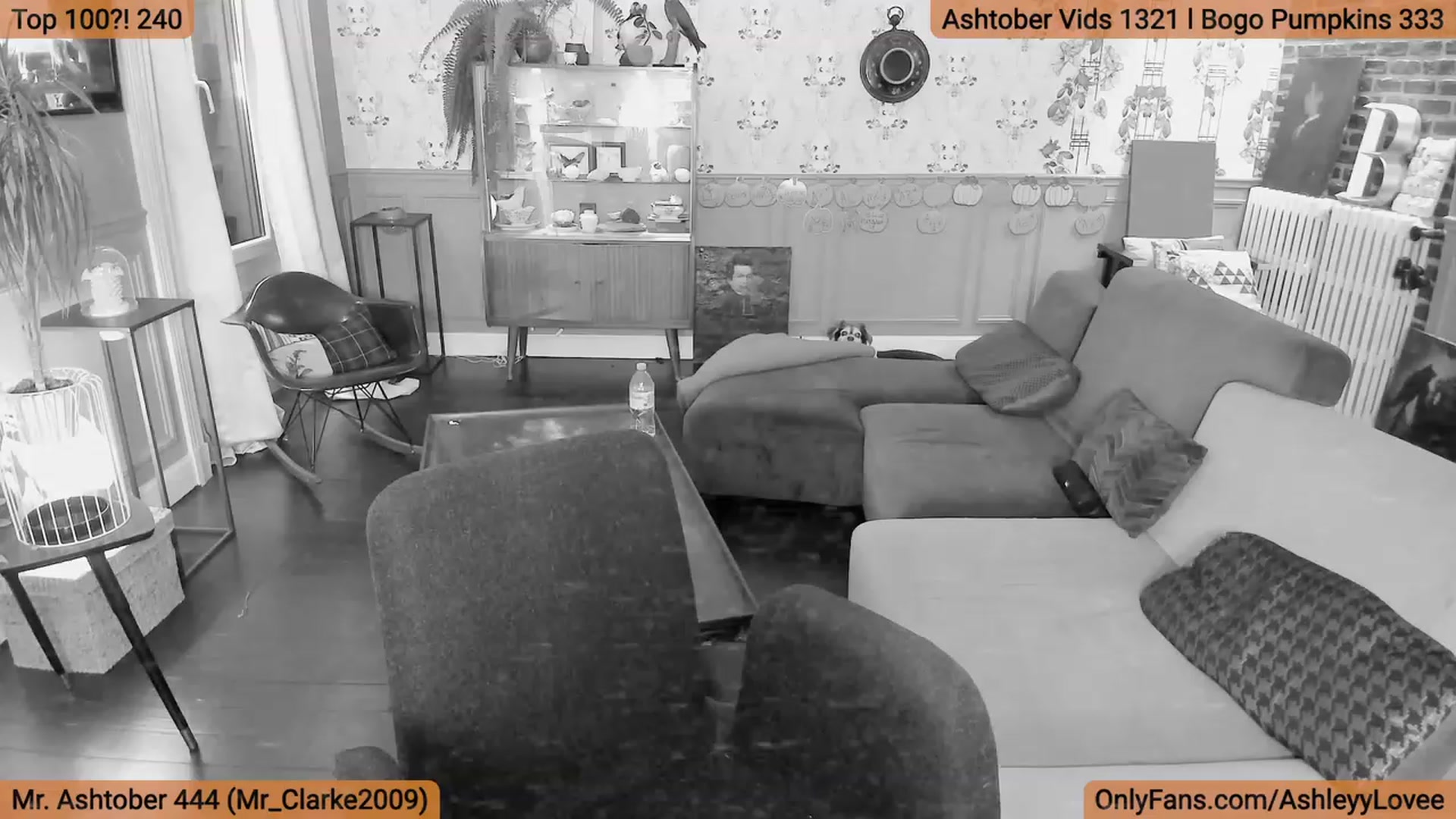 Gallery image thumbnail from AshleyyLovee's myfreecams stream on, 10/20/2023, 22:15 image 18 of 20