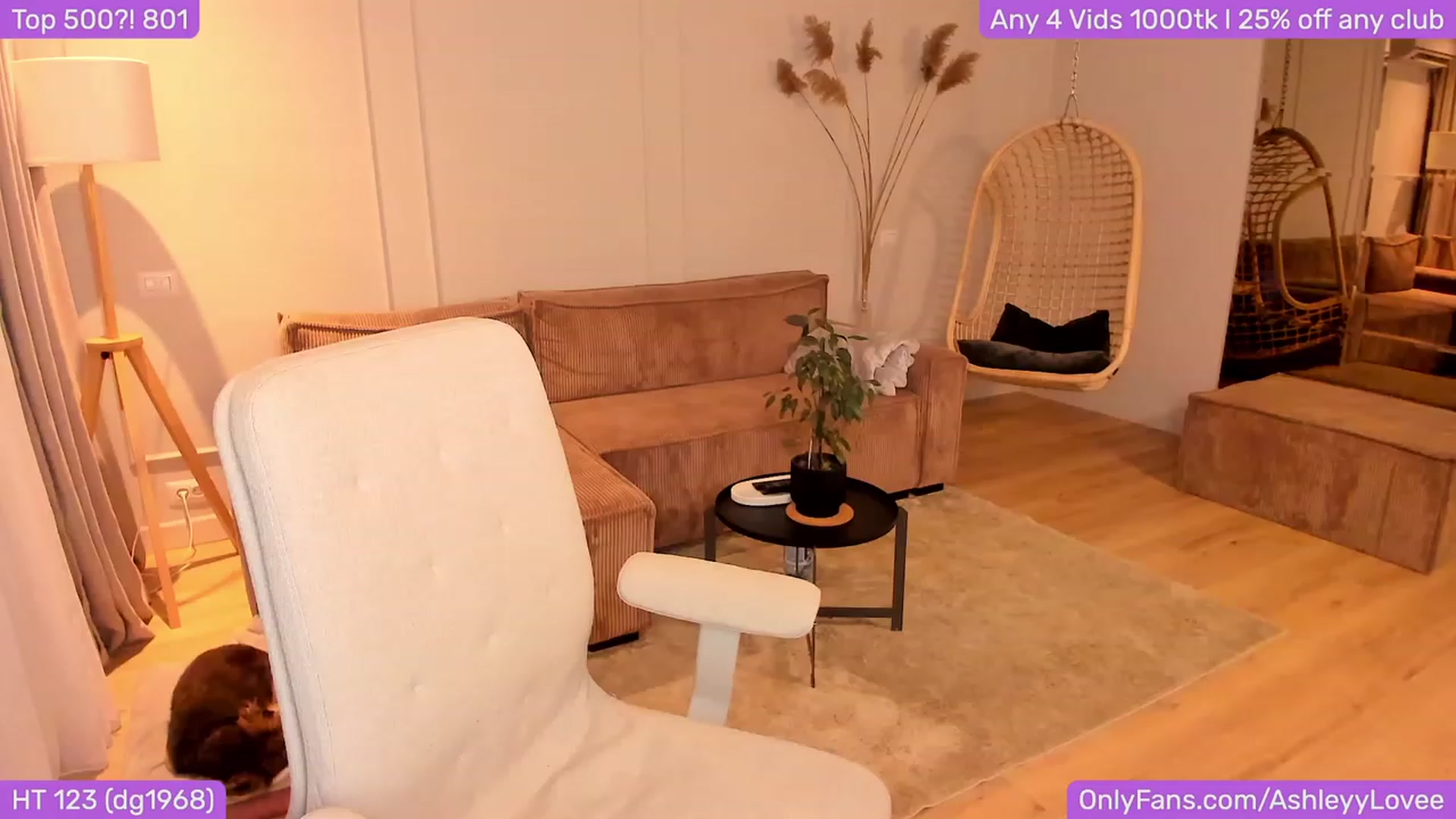 Gallery image thumbnail from AshleyyLovee's myfreecams stream on, 11/27/2023, 22:00 image 9 of 20