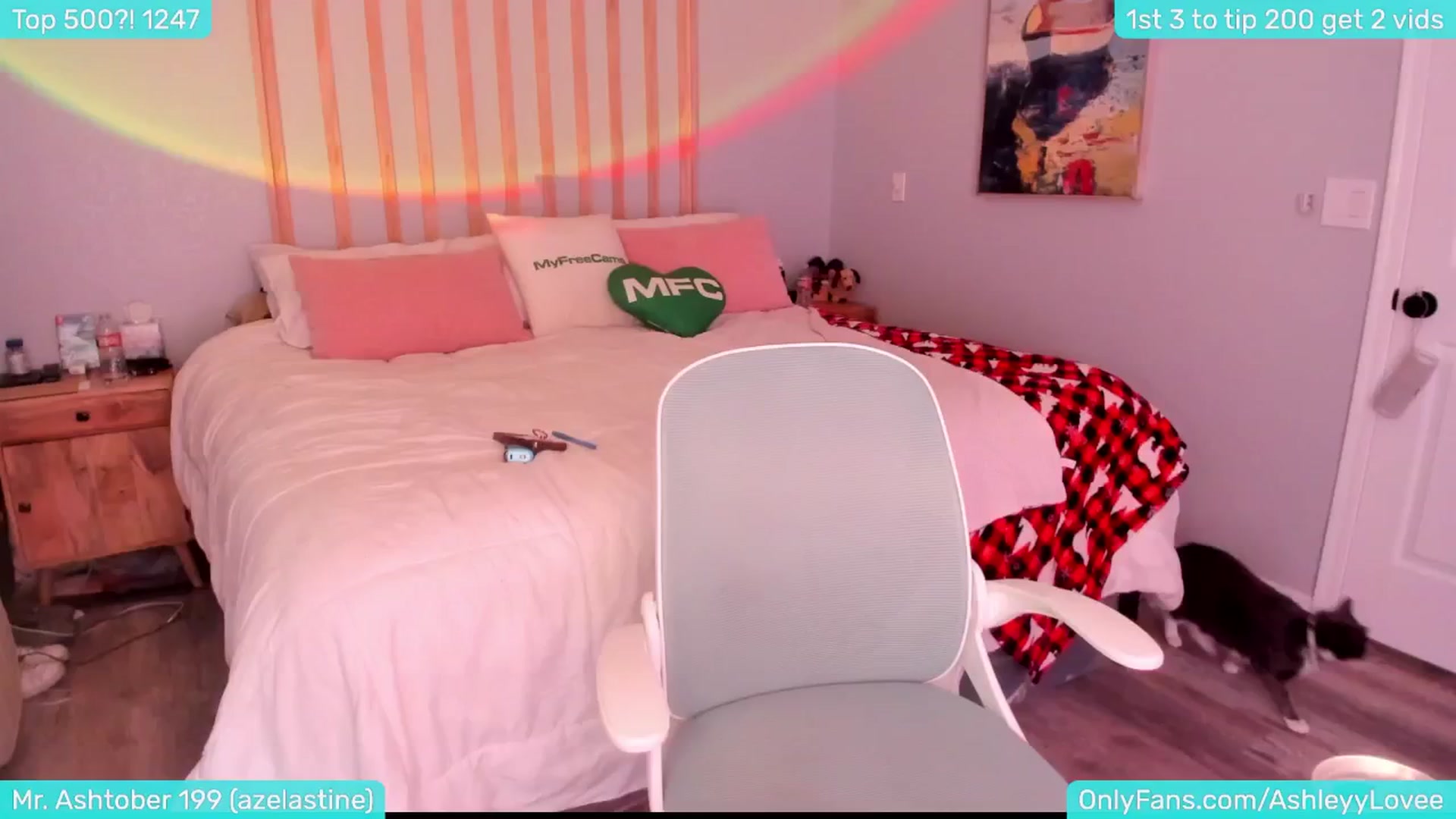 Gallery image thumbnail from AshleyyLovee's myfreecams stream on, 12/03/2024, 24:01 image 7 of 20