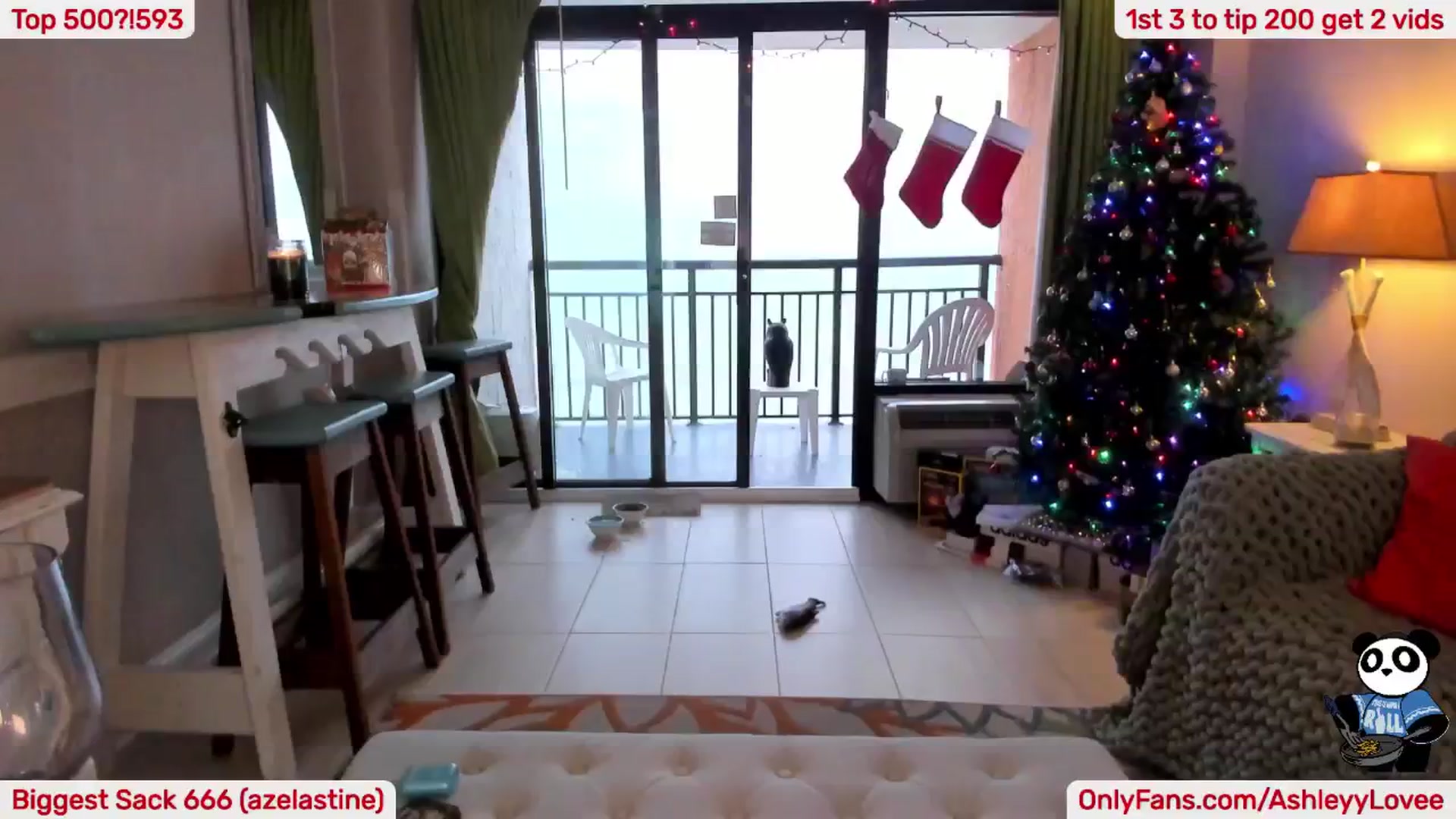 Gallery image thumbnail from AshleyyLovee's myfreecams stream on, 12/29/2024, 22:53 image 8 of 20