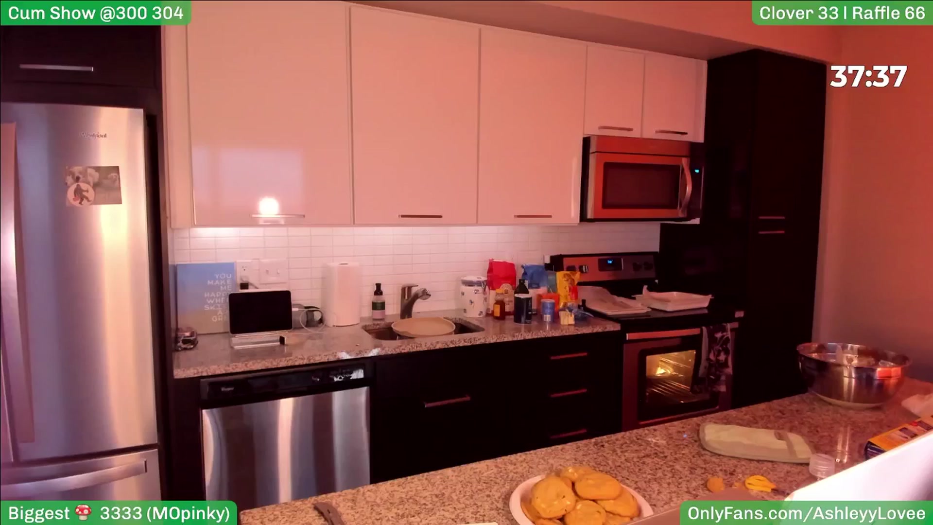 Gallery image thumbnail from AshleyyLovee's myfreecams stream on, 03/12/2025, 24:56 image 17 of 20