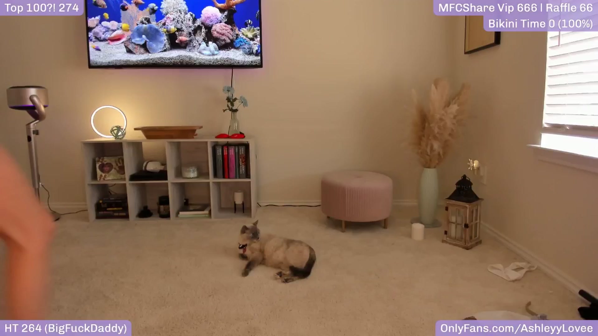 Gallery image thumbnail from AshleyyLovee's myfreecams stream on, 05/24/2025, 23:24 image 11 of 20