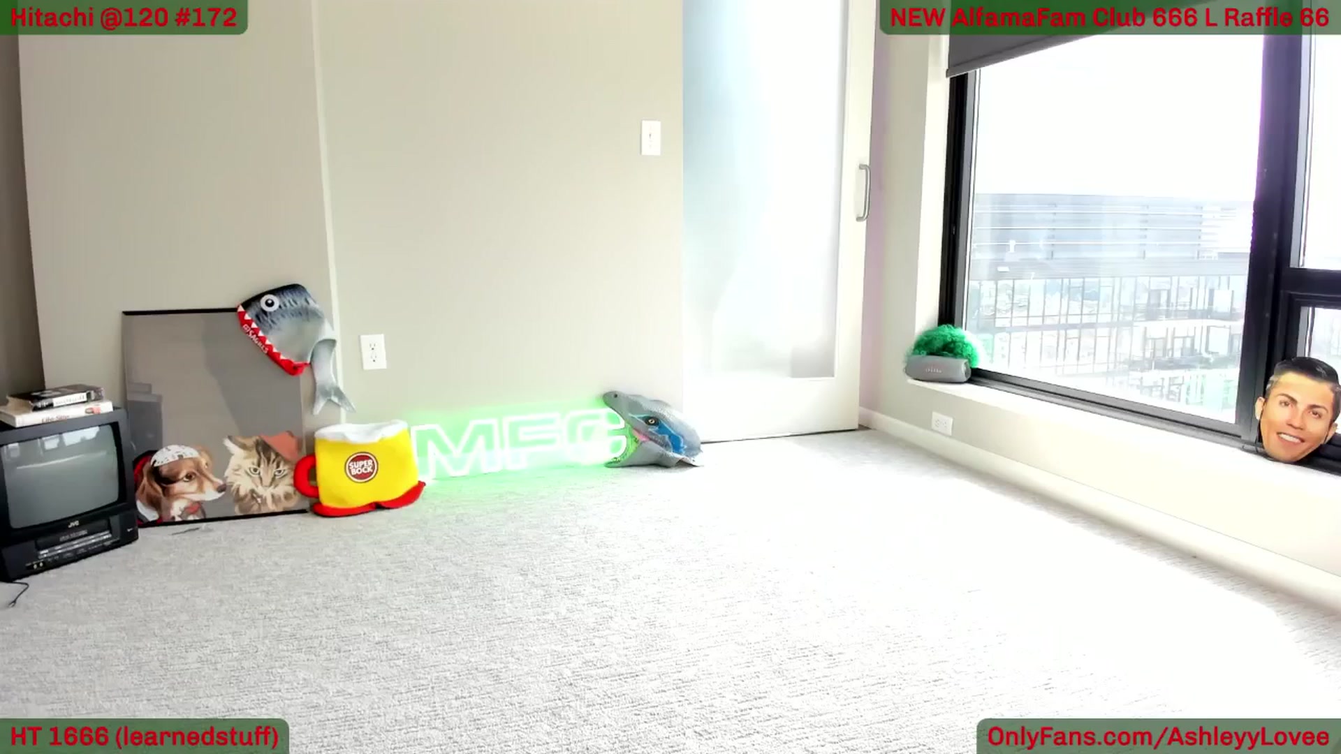 Gallery image thumbnail from AshleyyLovee's myfreecams stream on, 06/21/2025, 22:33 image 13 of 20