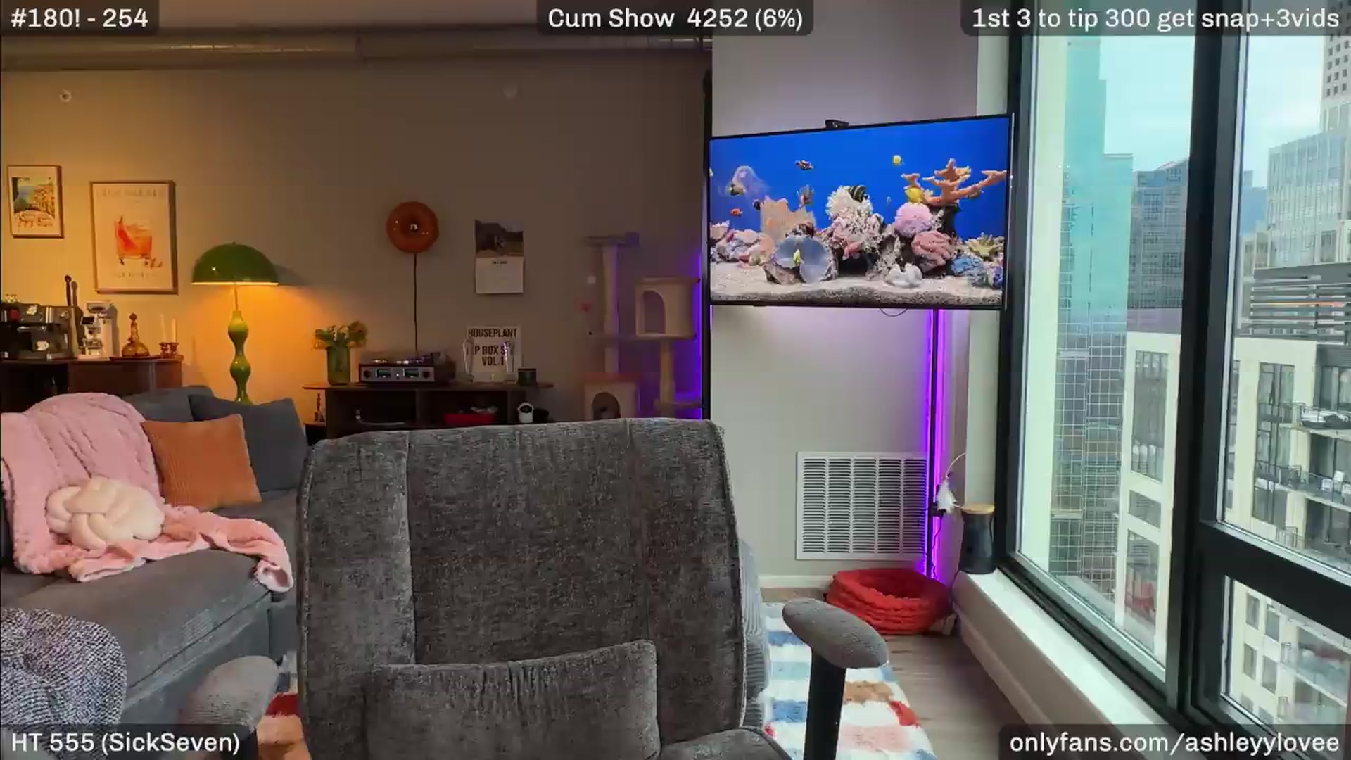 Gallery image thumbnail from AshleyyLovee's myfreecams stream on, 08/01/2026, 01:38 image 12 of 20