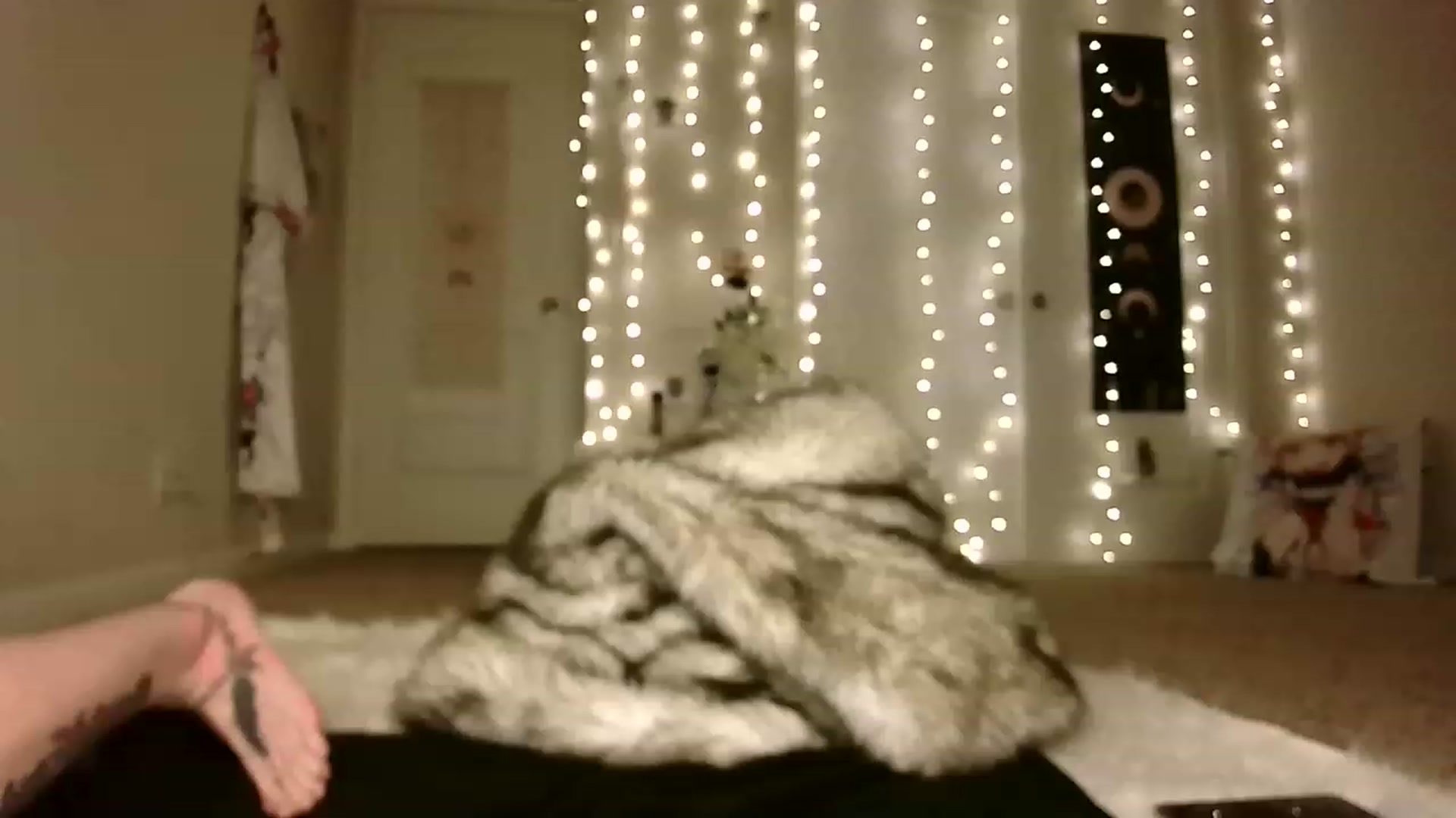 Gallery image thumbnail from Ashlie_Lotus's myfreecams stream on, 02/06/2023, 06:11 image 19 of 20