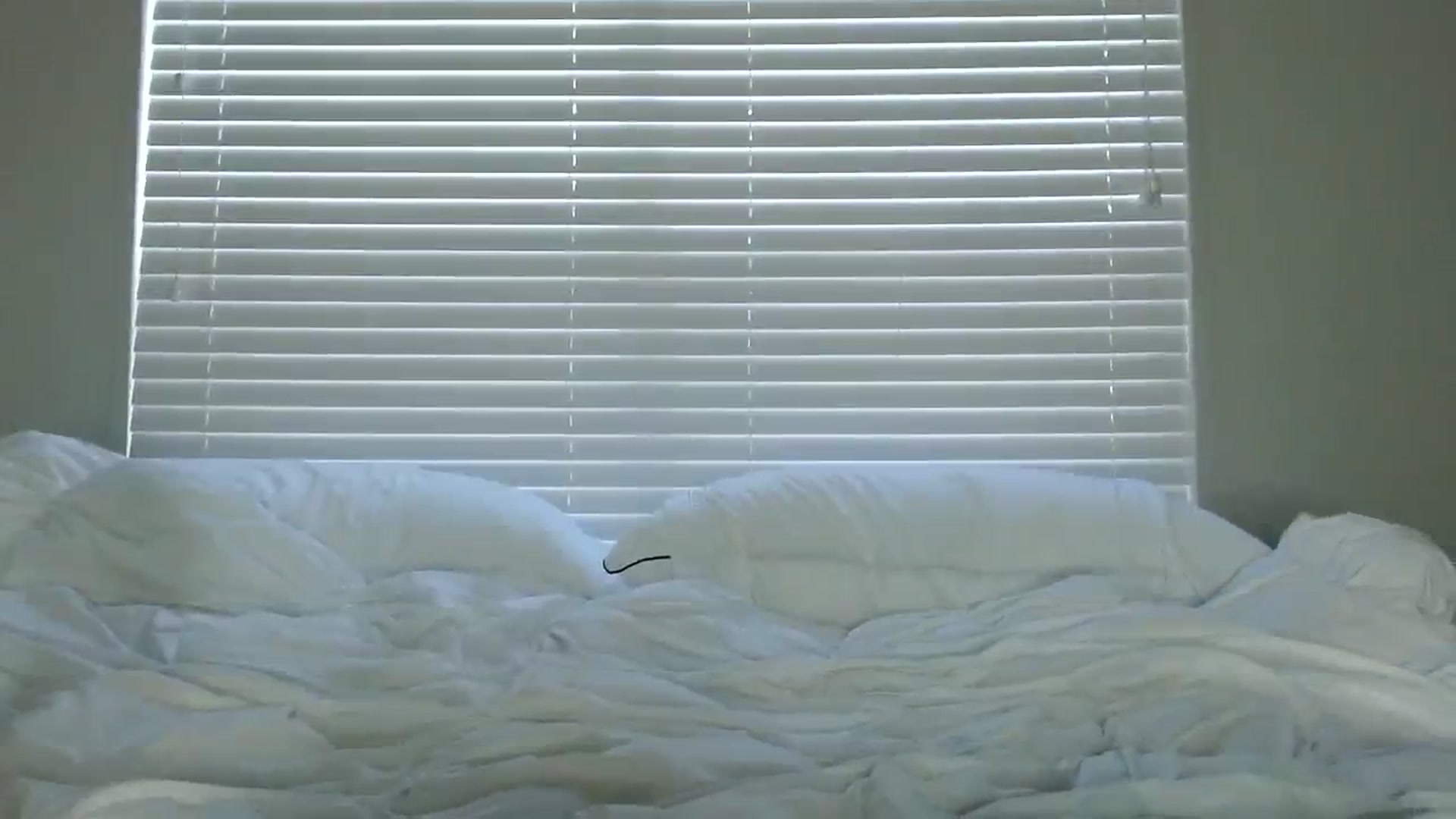 Gallery image thumbnail from AshlyAnderson's myfreecams stream on, 08/12/2023, 24:00 image 19 of 20
