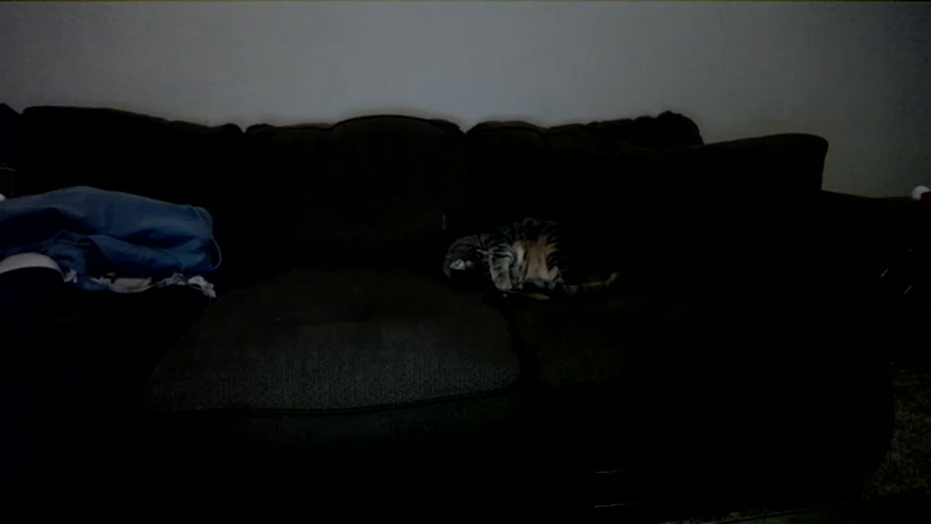 Gallery image thumbnail from AshlynnStorm's myfreecams stream on, 11/28/2022, 06:20 image 8 of 20