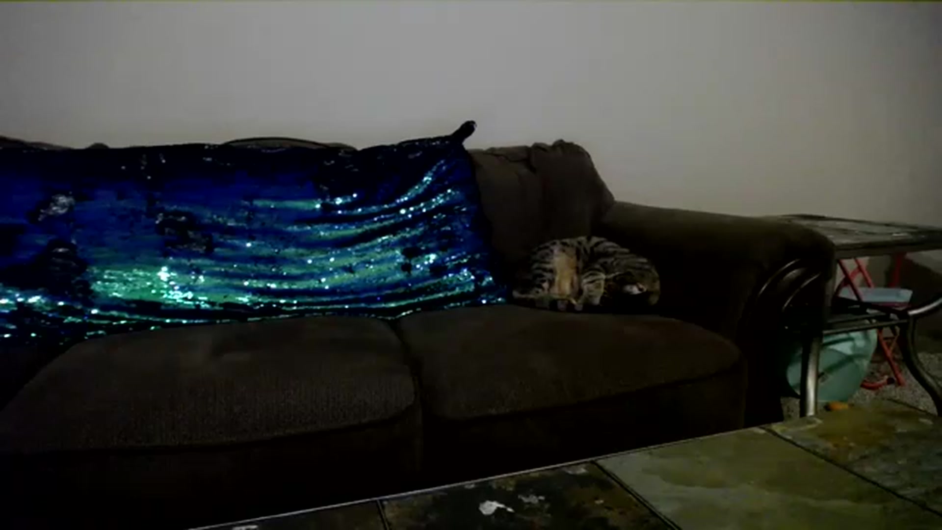 Gallery image thumbnail from AshlynnStorm's myfreecams stream on, 12/21/2022, 06:45 image 6 of 20