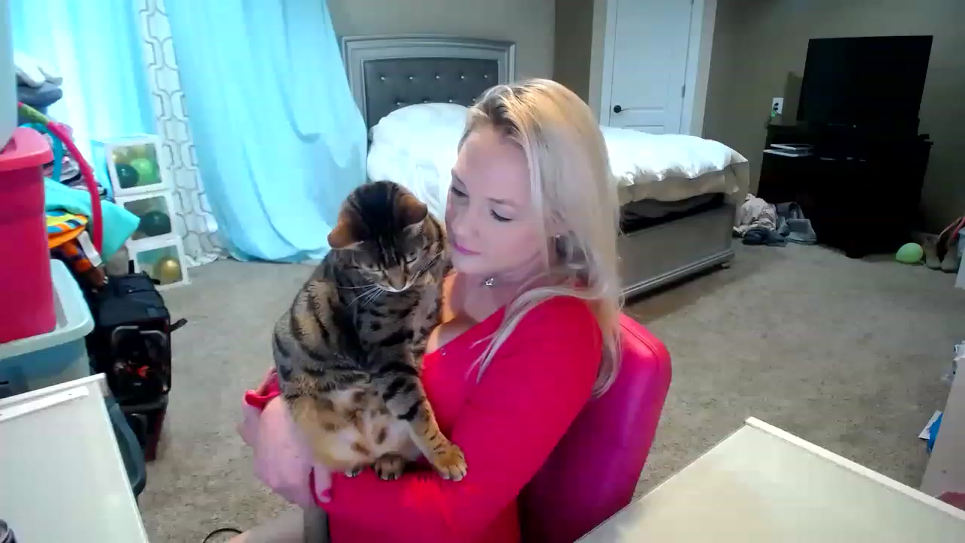 Gallery image thumbnail from AshlynnStorm's myfreecams stream on, 01/25/2023, 20:41 image 2 of 20