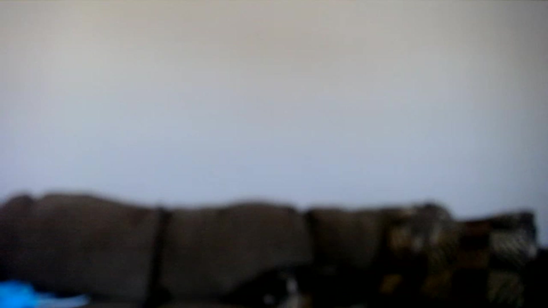 Gallery image thumbnail from AshlynnStorm's myfreecams stream on, 02/06/2023, 19:42 image 18 of 20