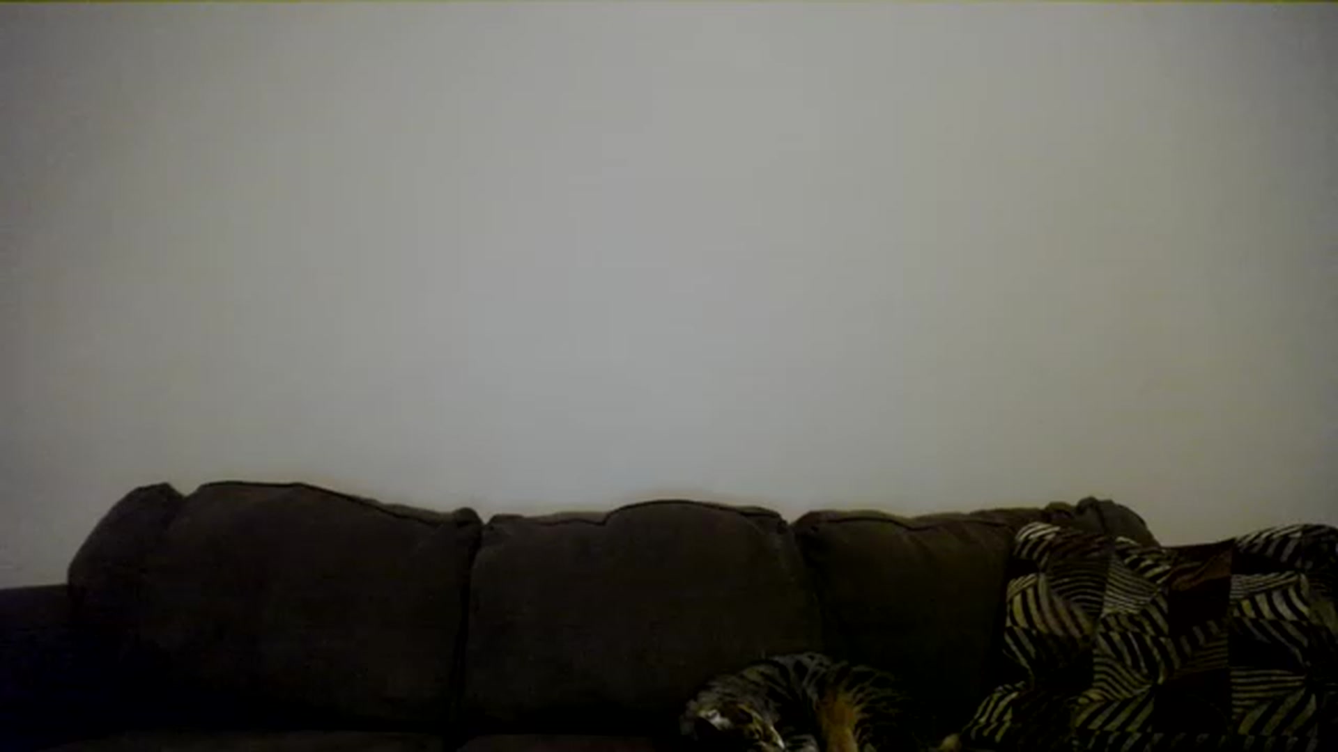 Gallery image thumbnail from AshlynnStorm's myfreecams stream on, 02/07/2023, 04:50 image 4 of 20
