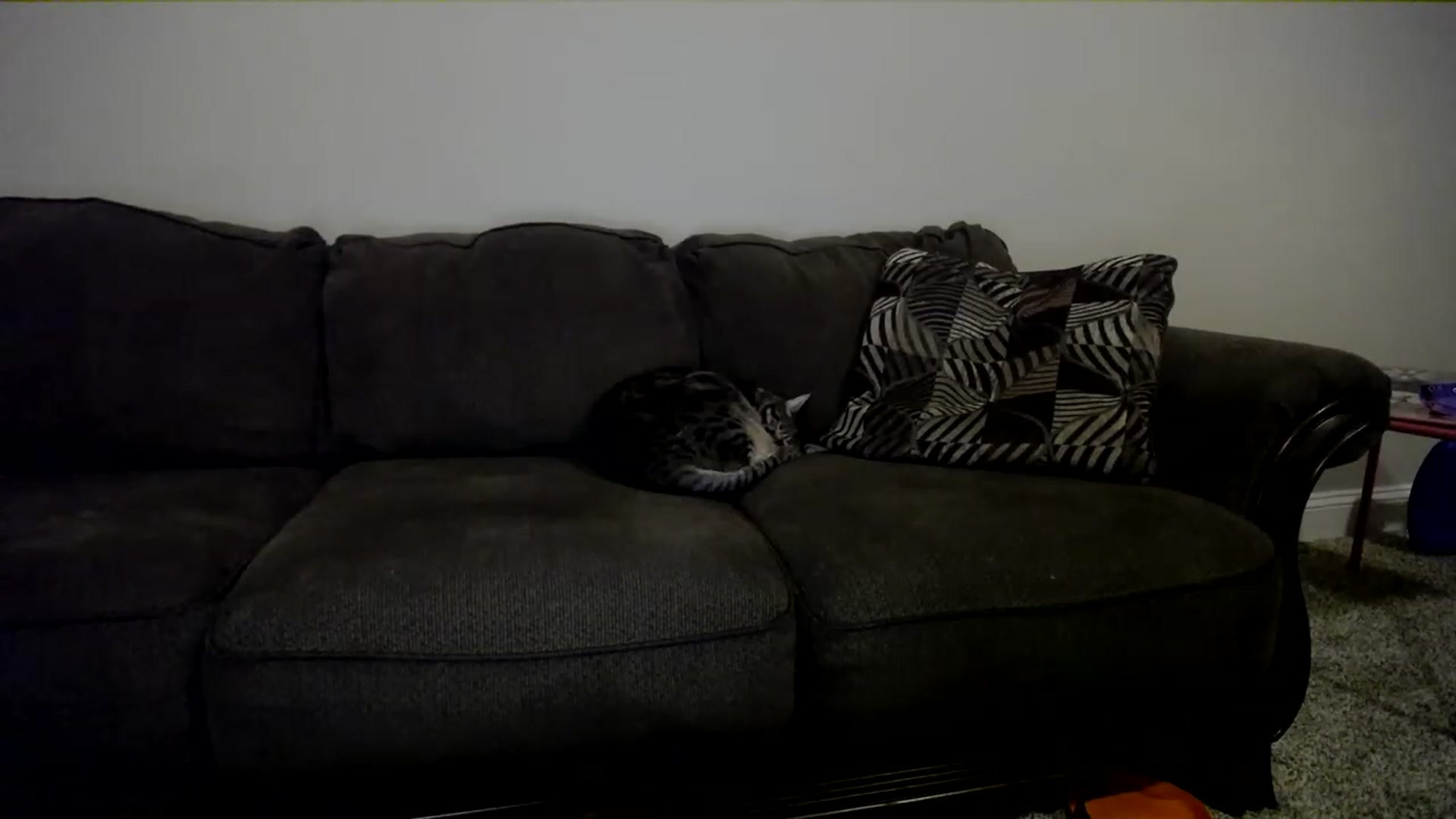Gallery image thumbnail from AshlynnStorm's myfreecams stream on, 02/07/2023, 07:21 image 4 of 20