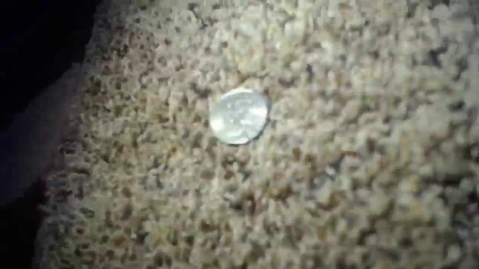 Gallery image thumbnail from AshlynnStorm's myfreecams stream on, 08/12/2023, 05:23 image 7 of 20