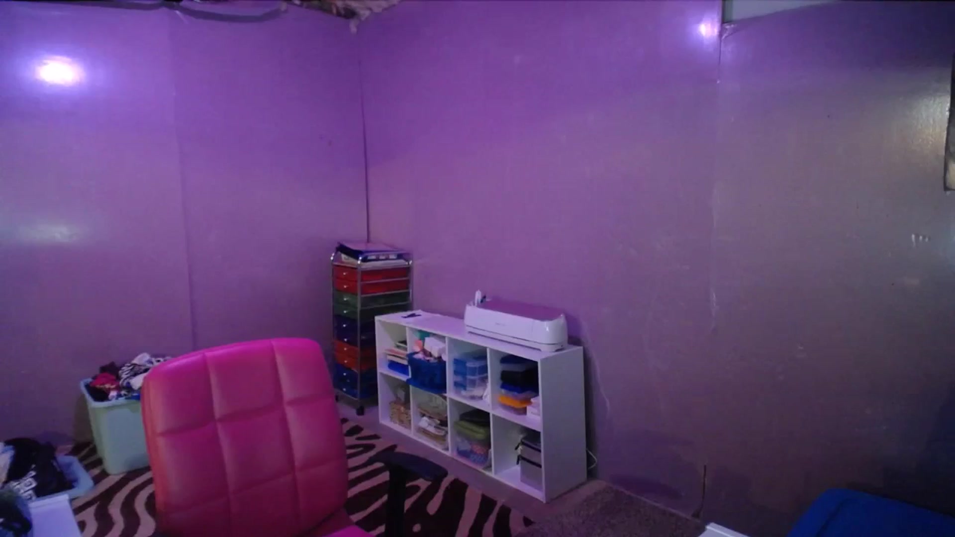 Gallery image thumbnail from AshlynnStorm's myfreecams stream on, 11/13/2023, 06:08 image 13 of 20