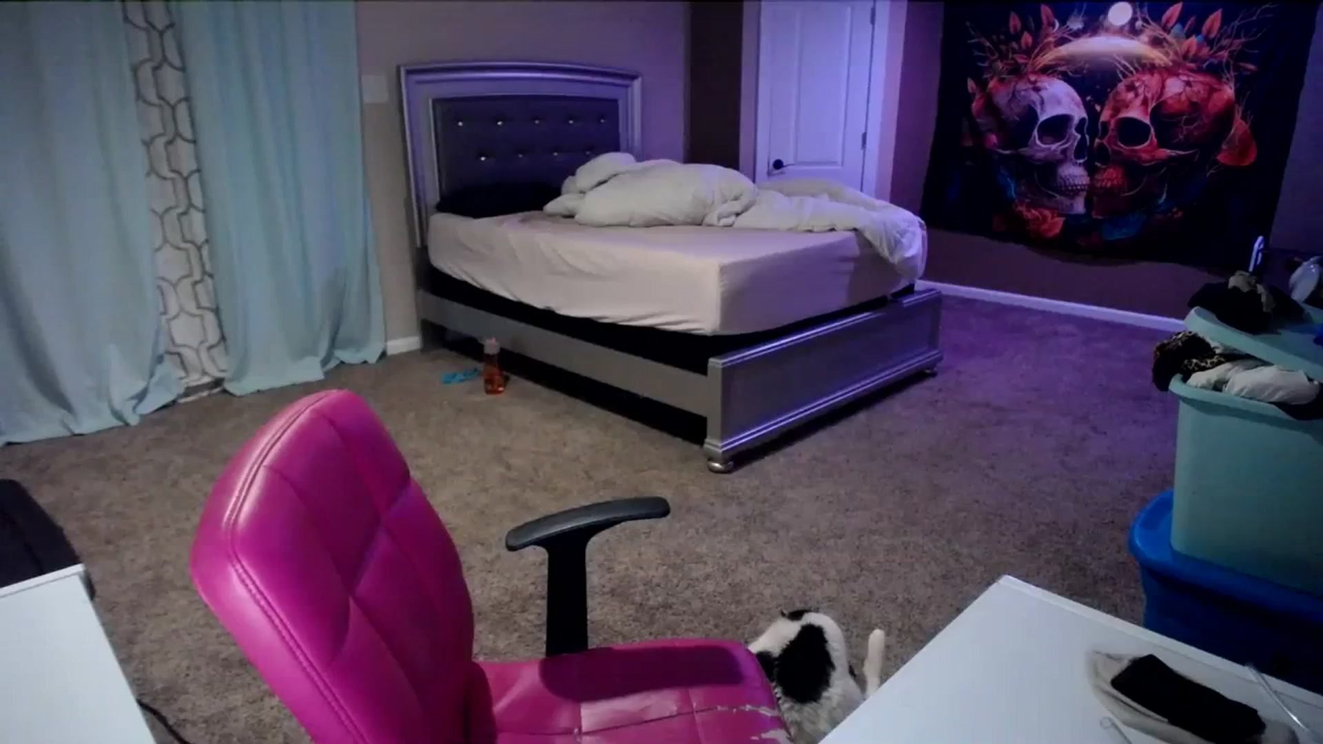 Gallery image thumbnail from AshlynnStorm's myfreecams stream on, 03/06/2024, 04:50 image 4 of 20