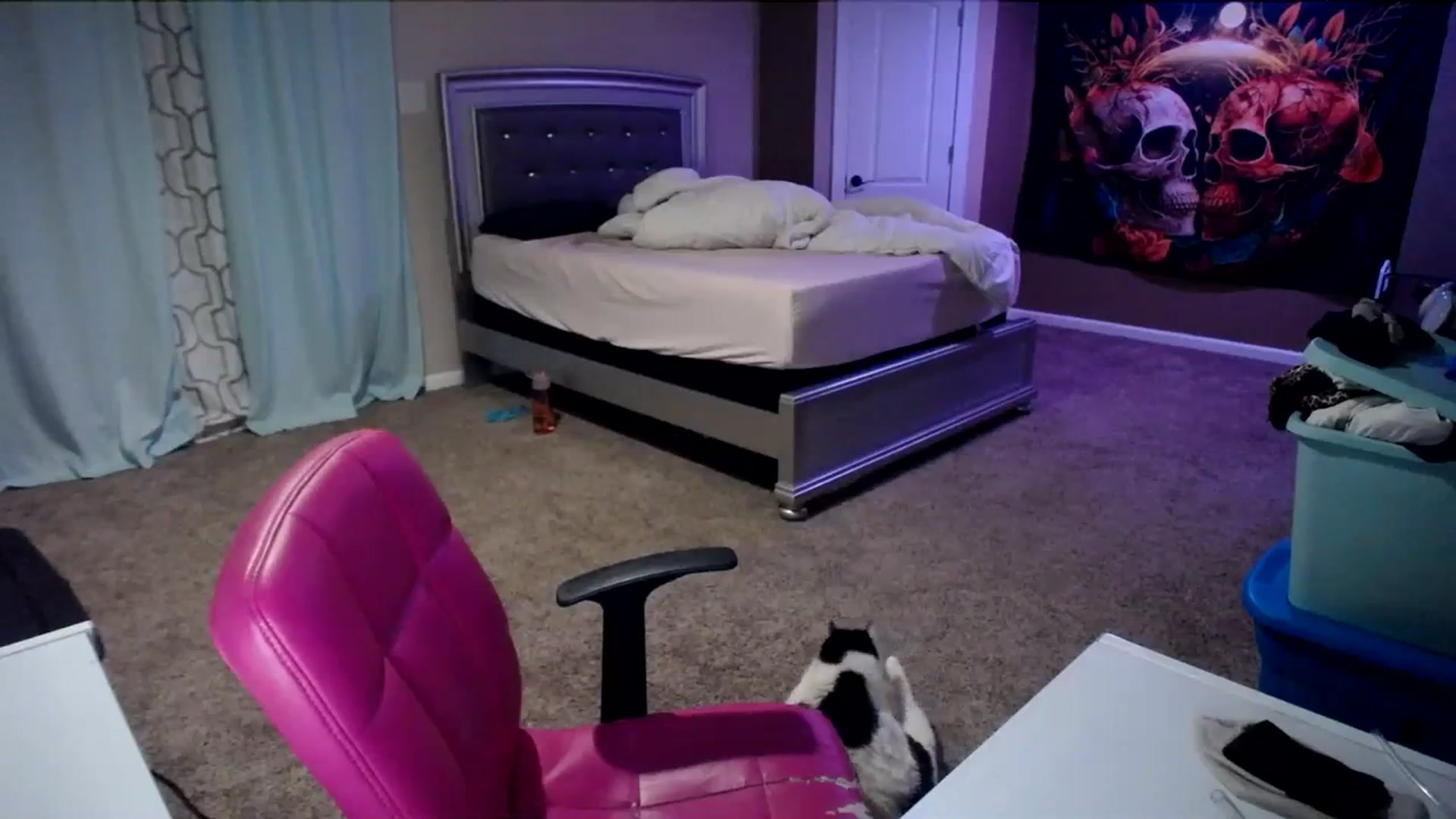 Gallery image thumbnail from AshlynnStorm's myfreecams stream on, 03/06/2024, 04:50 image 3 of 20
