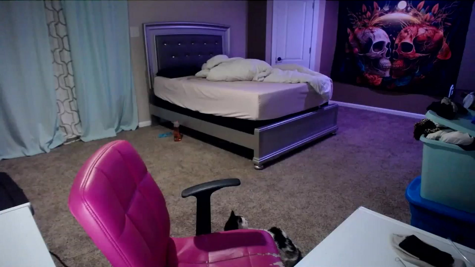 Gallery image thumbnail from AshlynnStorm's myfreecams stream on, 03/06/2024, 04:50 image 6 of 20
