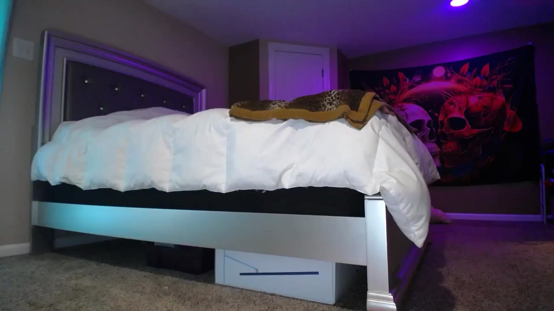 Gallery image thumbnail from AshlynnStorm's myfreecams stream on, 08/13/2024, 20:31 image 6 of 20