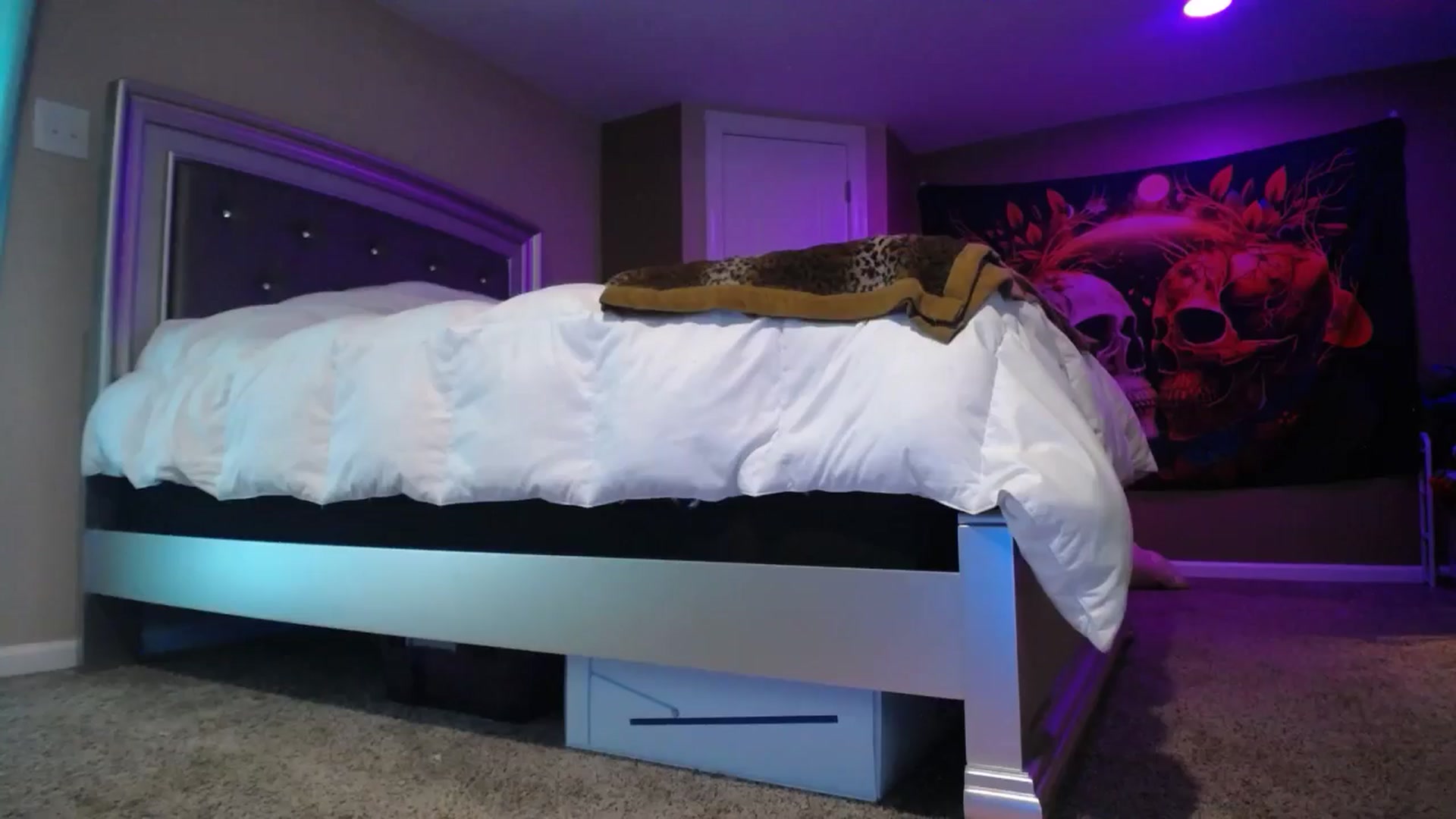 Gallery image thumbnail from AshlynnStorm's myfreecams stream on, 08/13/2024, 20:31 image 5 of 20