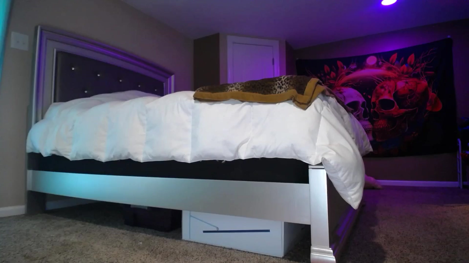Gallery image thumbnail from AshlynnStorm's myfreecams stream on, 08/13/2024, 20:31 image 1 of 20