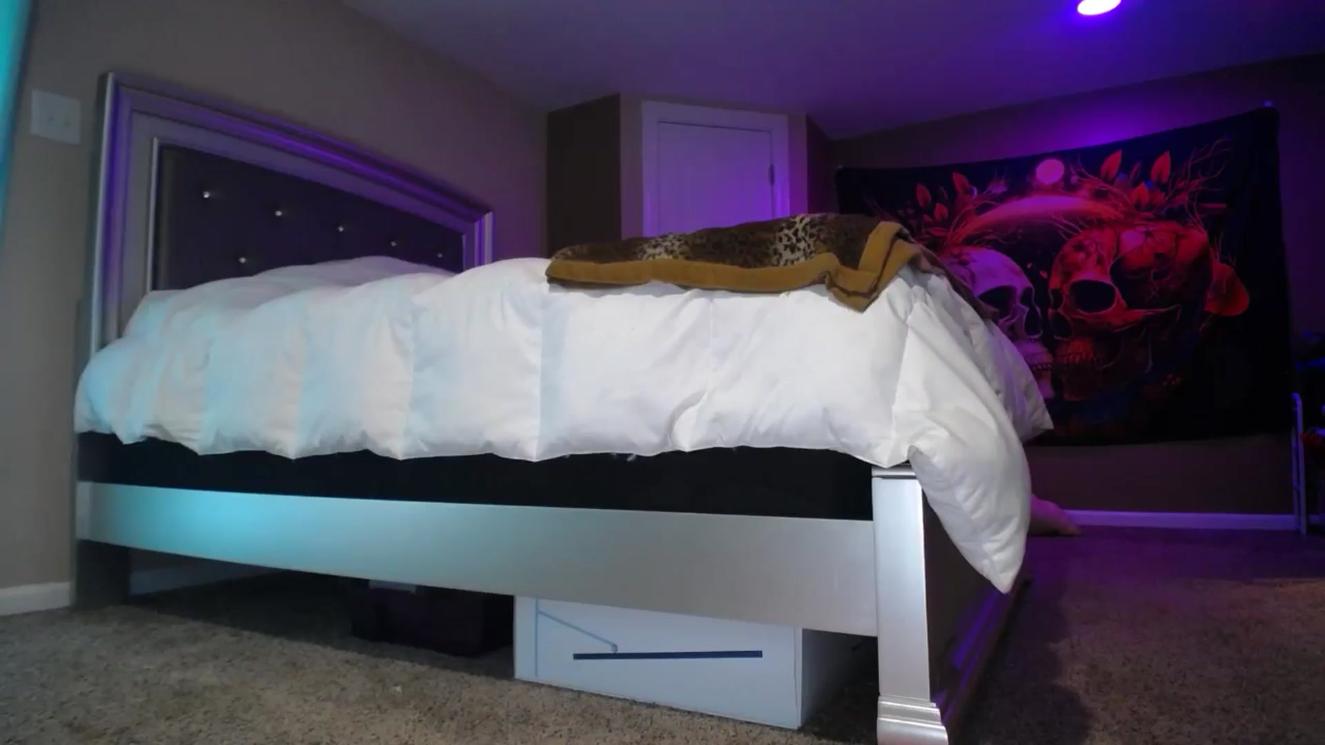 Gallery image thumbnail from AshlynnStorm's myfreecams stream on, 08/13/2024, 20:31 image 4 of 20