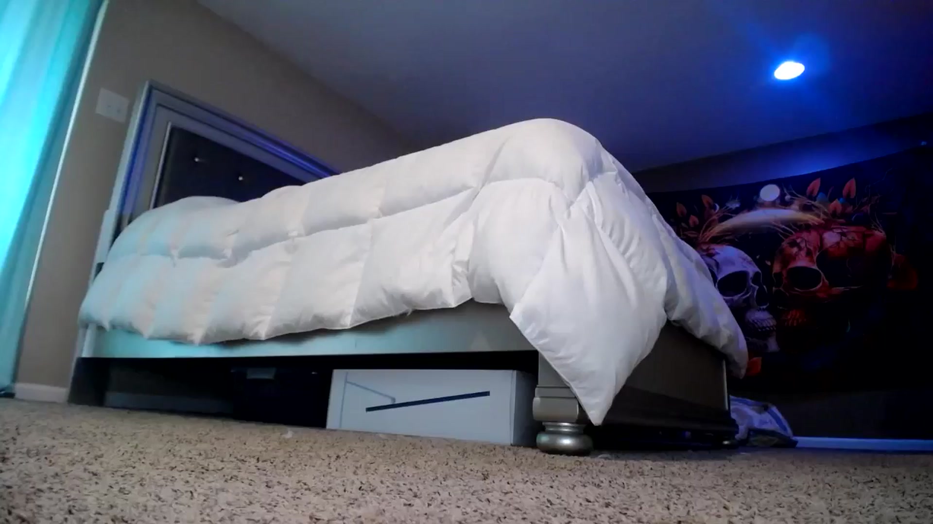 Gallery image thumbnail from AshlynnStorm's myfreecams stream on, 09/12/2024, 18:12 image 8 of 20