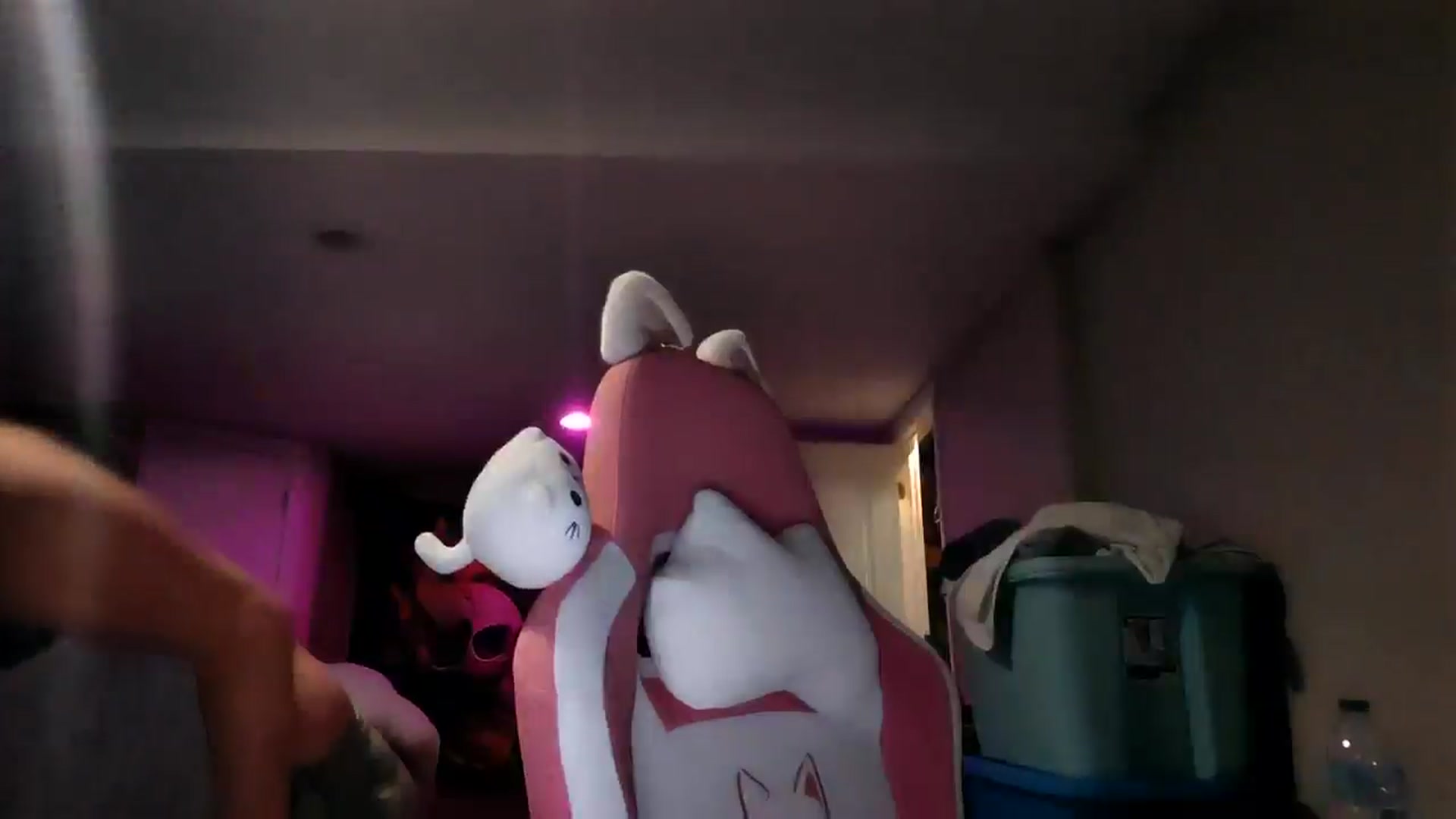 Gallery image thumbnail from AshlynnStorm's myfreecams stream on, 02/25/2025, 18:31 image 20 of 20