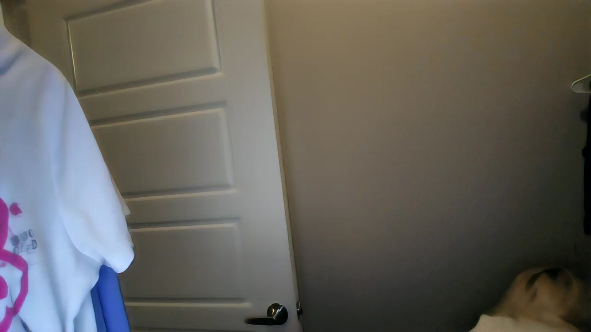 Gallery image thumbnail from AshlynnStorm's myfreecams stream on, 04/23/2026, 08:09 image 19 of 20