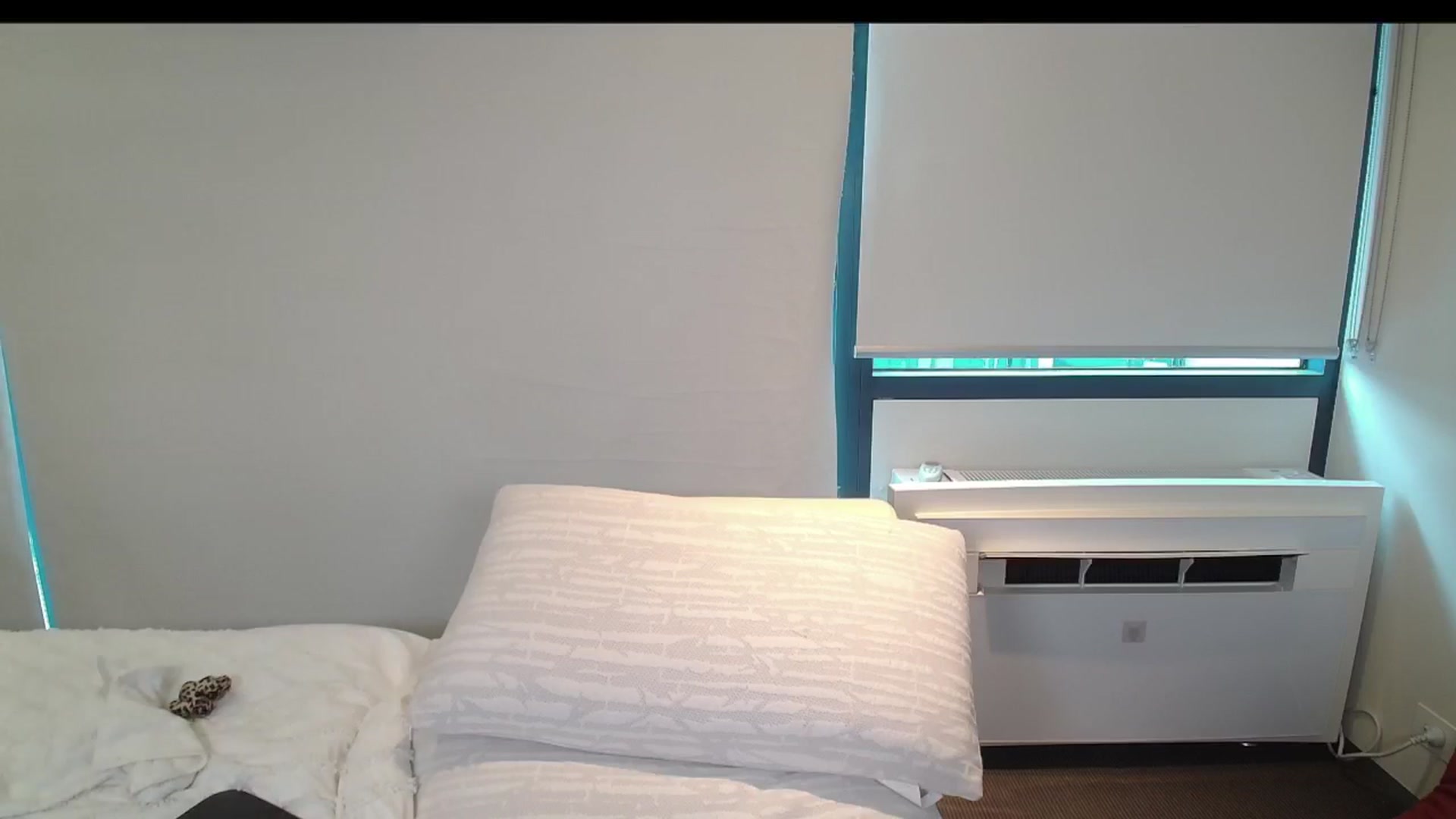 Gallery image thumbnail from Asiankitty_3X's myfreecams stream on, 04/11/2024, 05:05 image 17 of 20