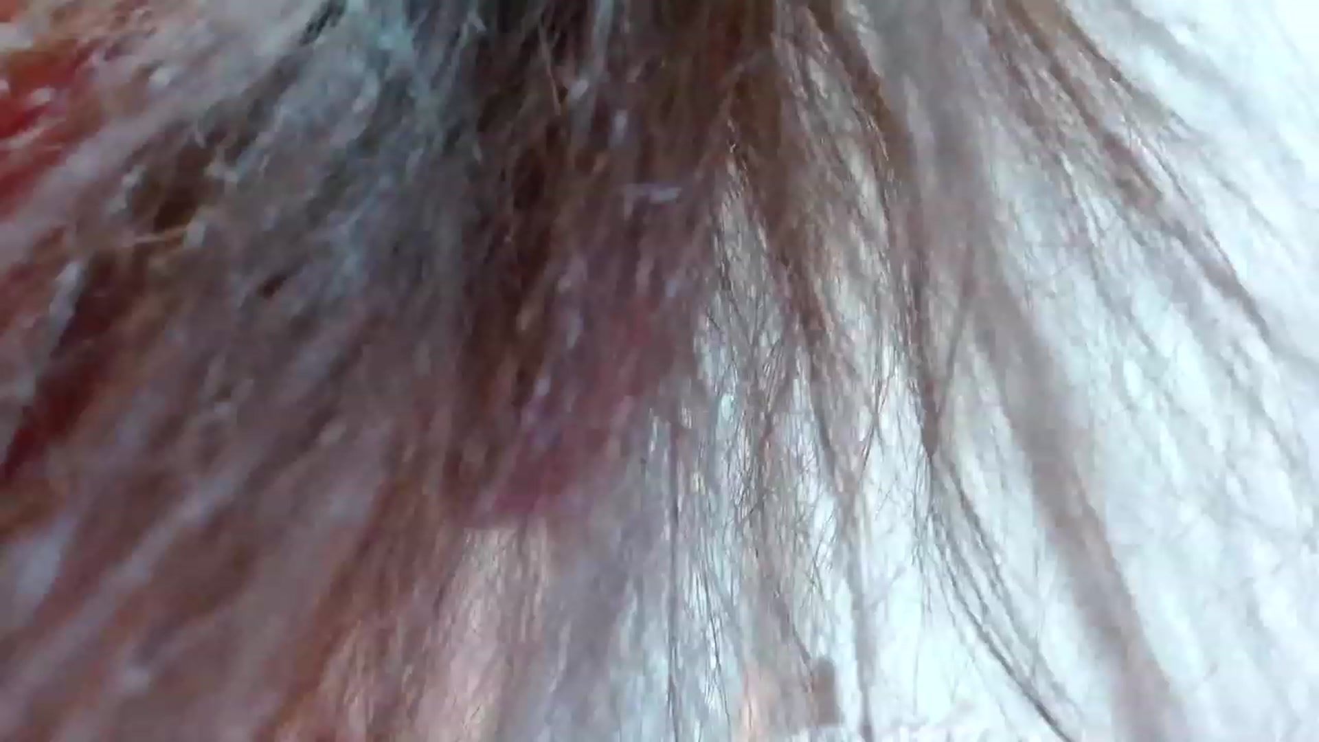 Gallery image thumbnail from Asiankitty_oX's myfreecams stream on, 12/19/2022, 15:57 image 16 of 20