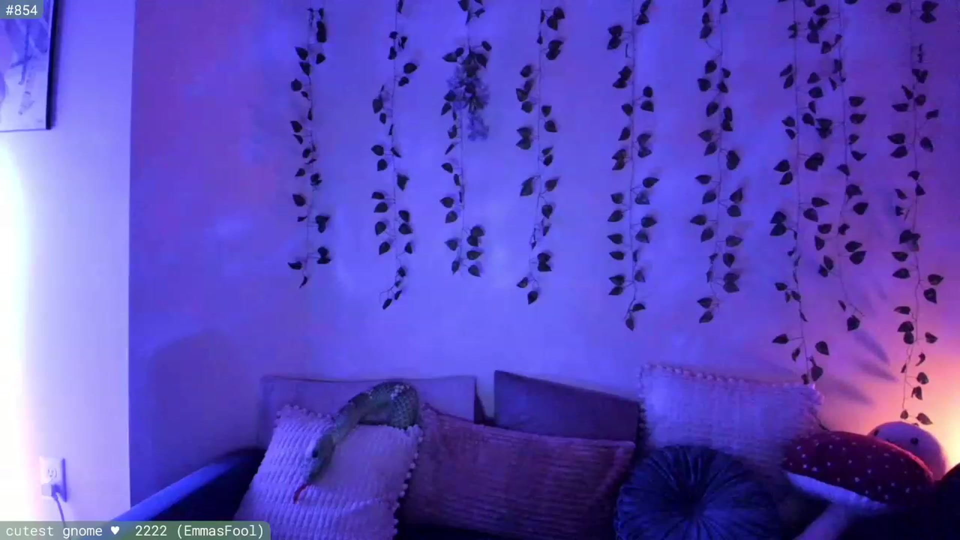 Gallery image thumbnail from AspenEden's myfreecams stream on, 02/24/2024, 03:48 image 4 of 20