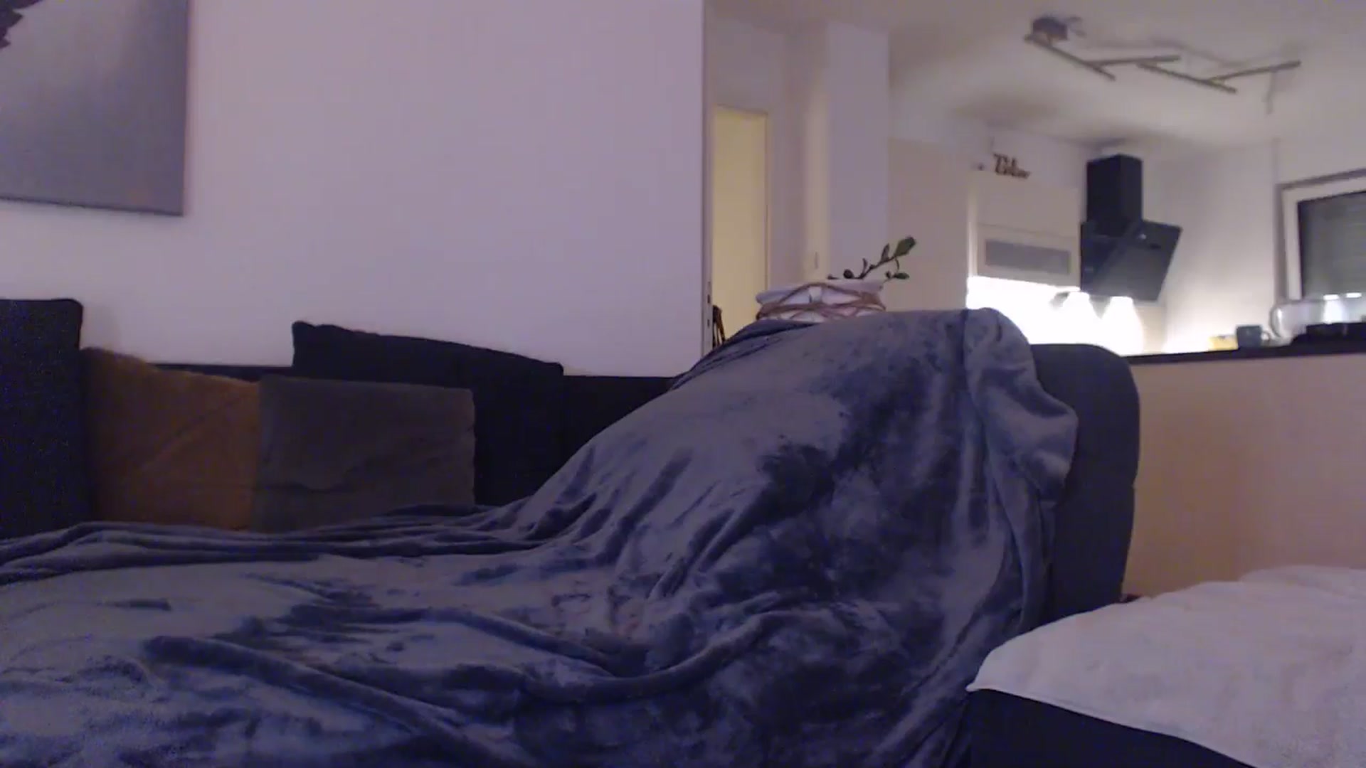 Gallery image thumbnail from AstekAngel's myfreecams stream on, 09/22/2024, 01:31 image 9 of 20