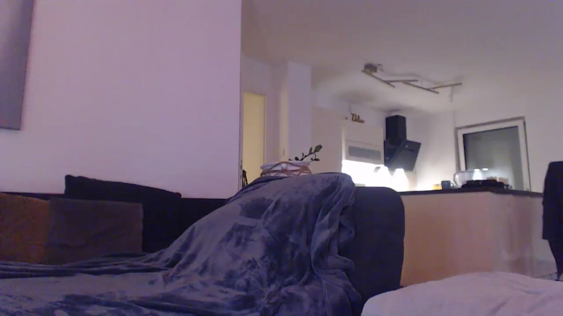 Gallery image thumbnail from AstekAngel's myfreecams stream on, 09/22/2024, 01:31 image 12 of 20