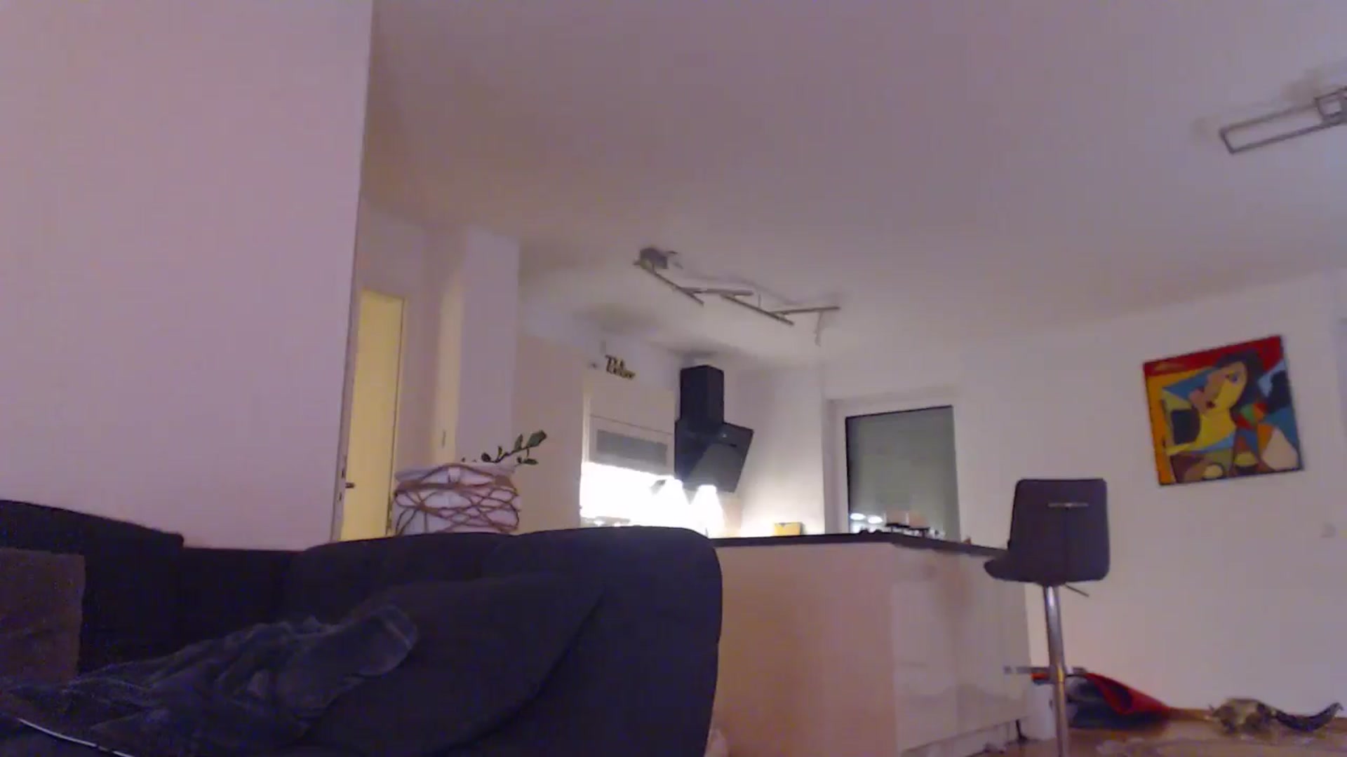 Gallery image thumbnail from AstekAngel's myfreecams stream on, 09/29/2024, 24:01 image 14 of 20