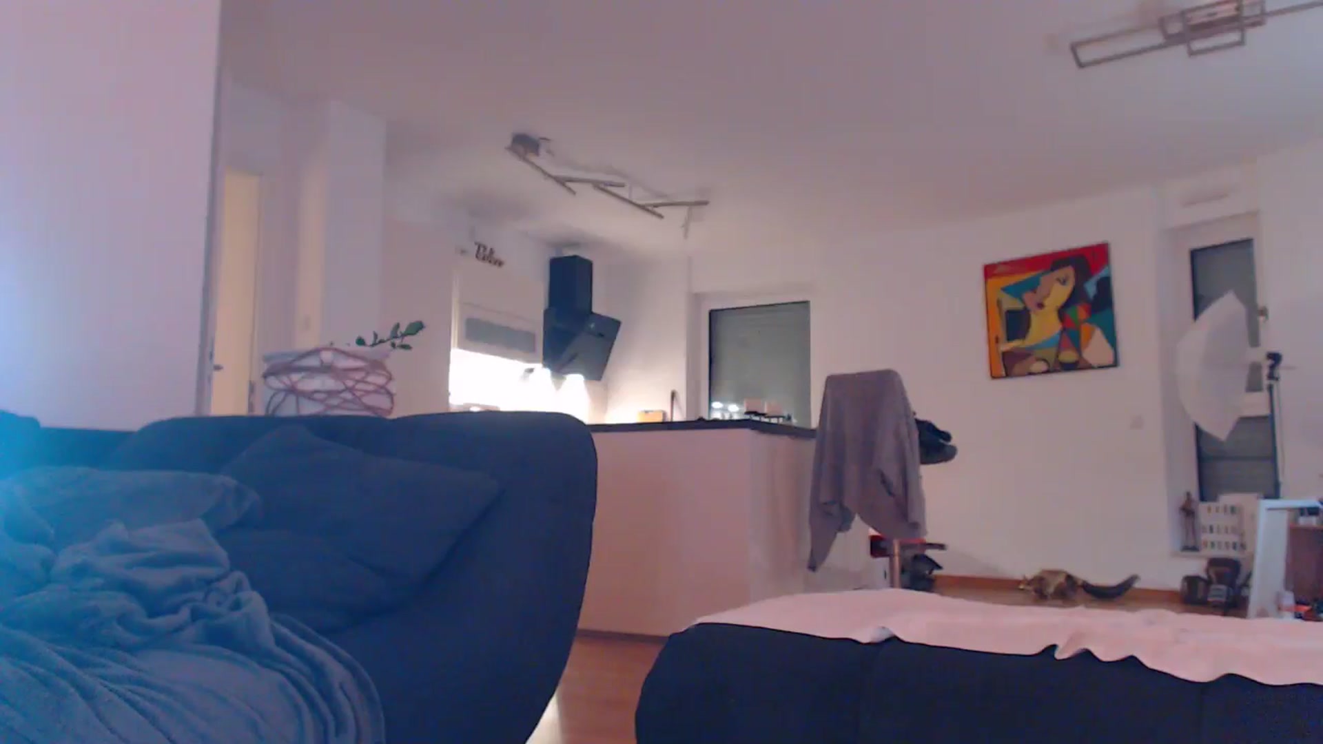 Gallery image thumbnail from AstekAngel's myfreecams stream on, 10/07/2024, 02:12 image 9 of 20