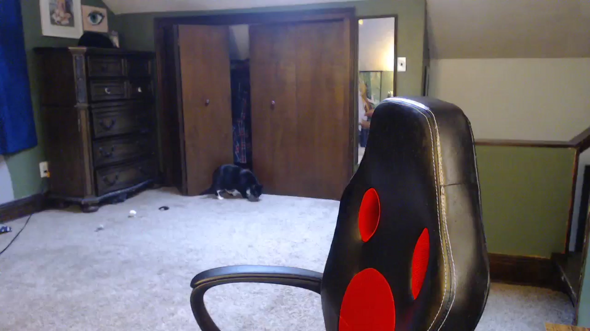 Gallery image thumbnail from AstraeaSiren's myfreecams stream on, 12/27/2023, 19:07 image 9 of 20