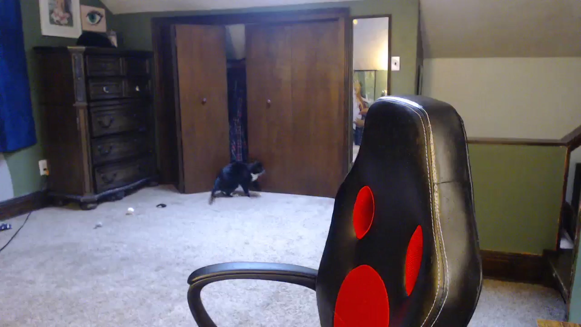 Gallery image thumbnail from AstraeaSiren's myfreecams stream on, 12/27/2023, 19:07 image 11 of 20