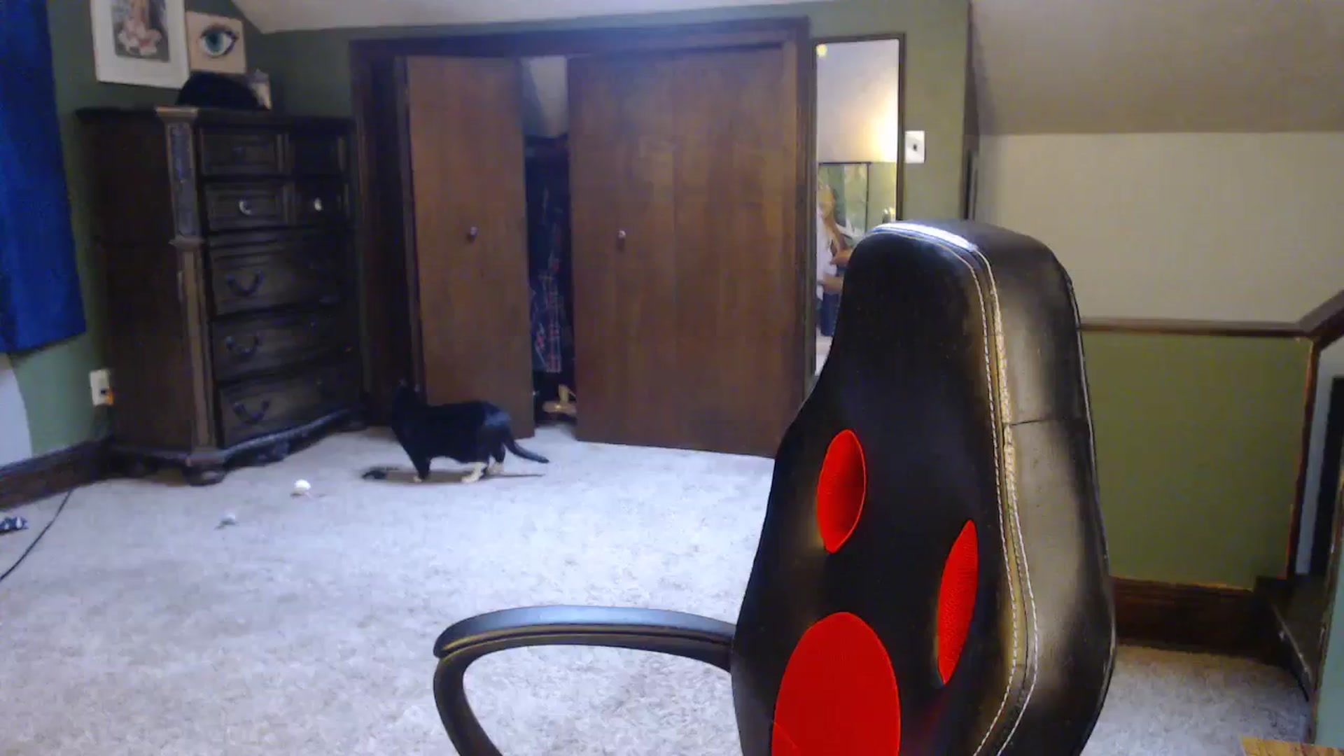 Gallery image thumbnail from AstraeaSiren's myfreecams stream on, 12/27/2023, 19:07 image 8 of 20