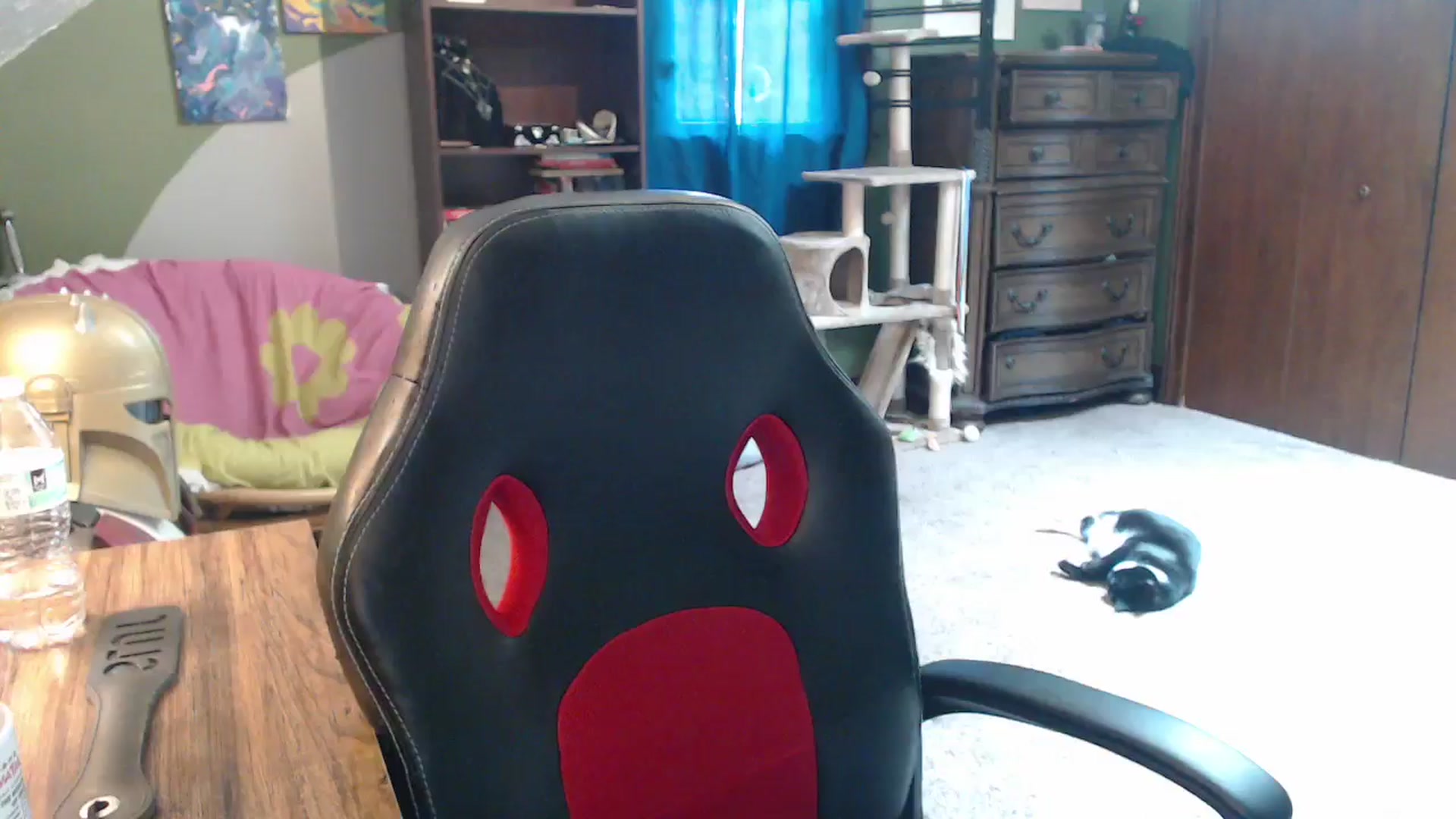 Gallery image thumbnail from AstraeaSiren's myfreecams stream on, 07/11/2025, 20:54 image 8 of 20