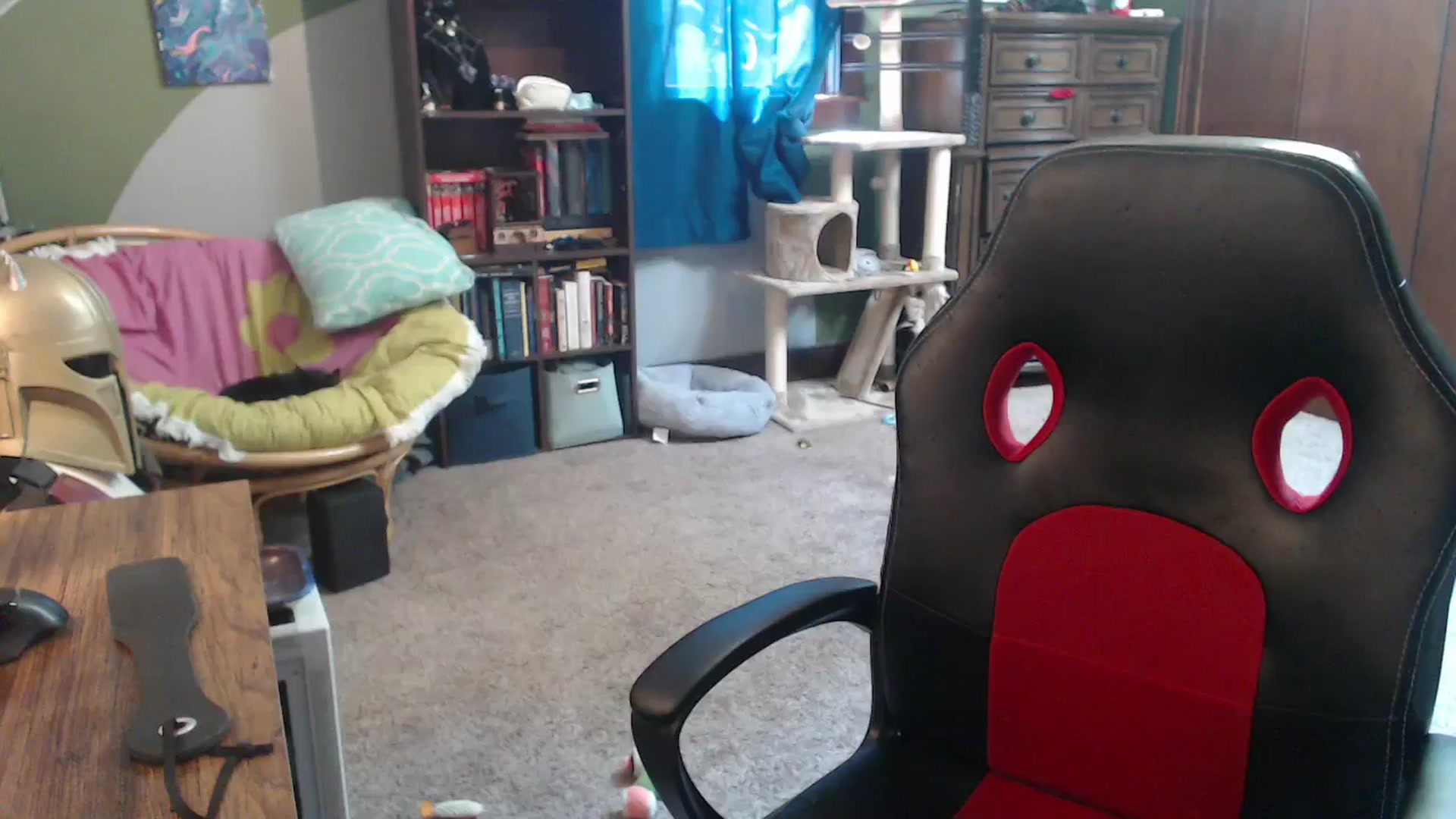 Gallery image thumbnail from AstraeaSiren's myfreecams stream on, 08/11/2025, 20:53 image 15 of 20