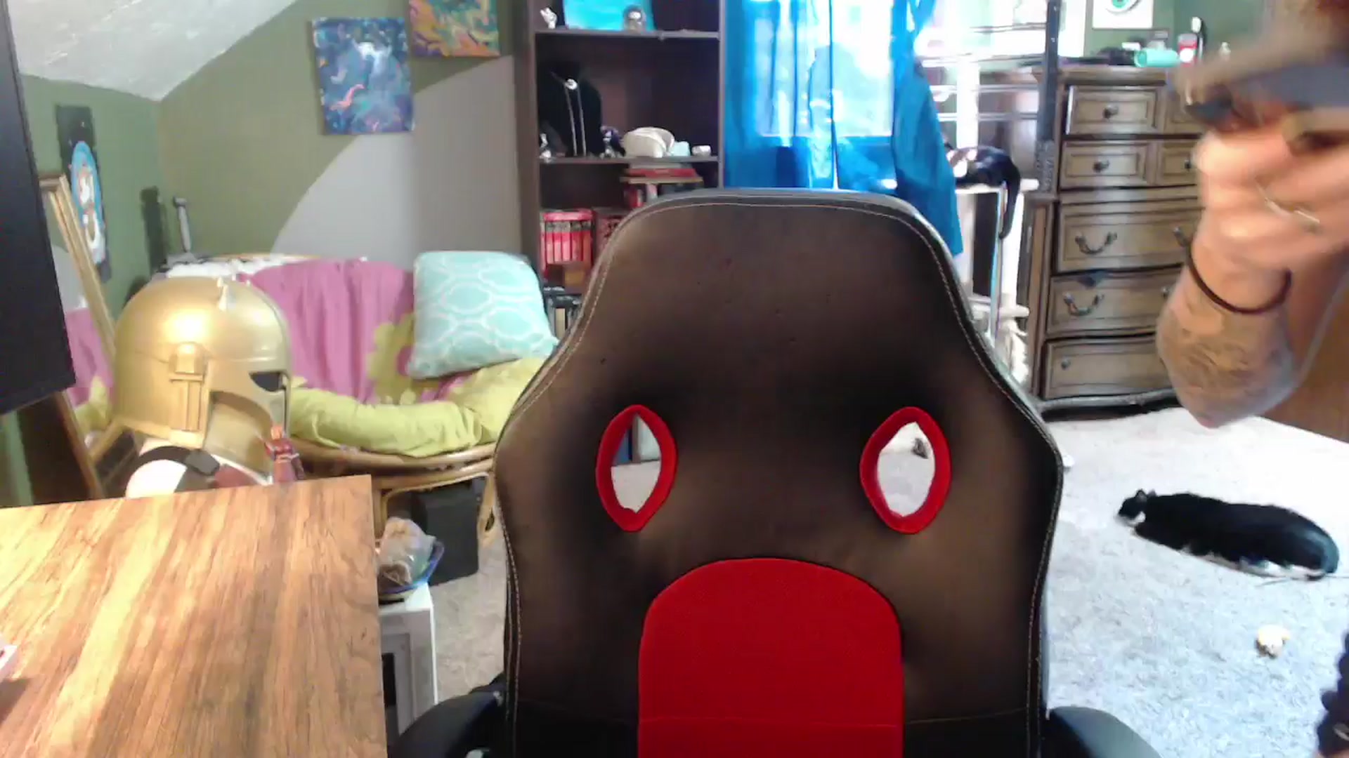 Gallery image thumbnail from AstraeaSiren's myfreecams stream on, 08/22/2025, 21:08 image 7 of 20