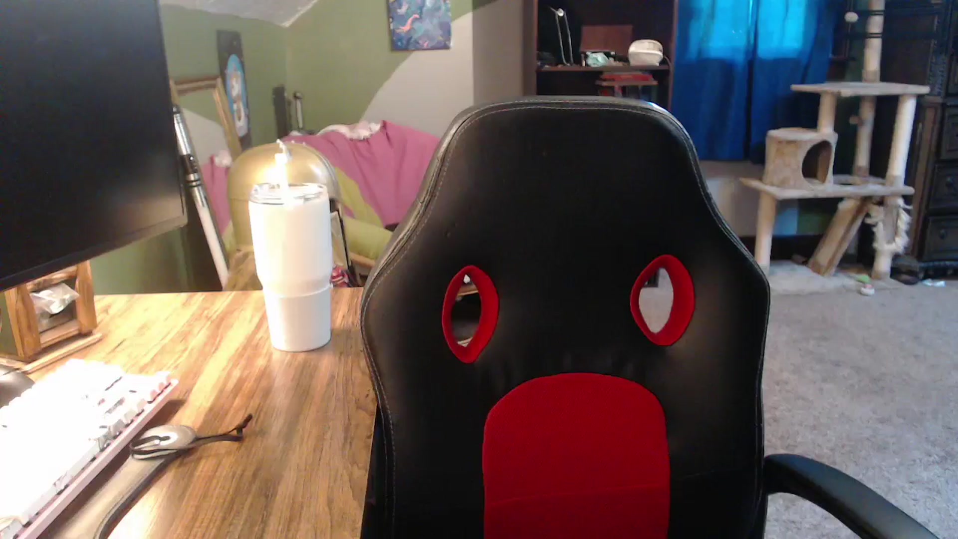 Gallery image thumbnail from AstraeaSiren's myfreecams stream on, 11/03/2025, 20:42 image 12 of 20