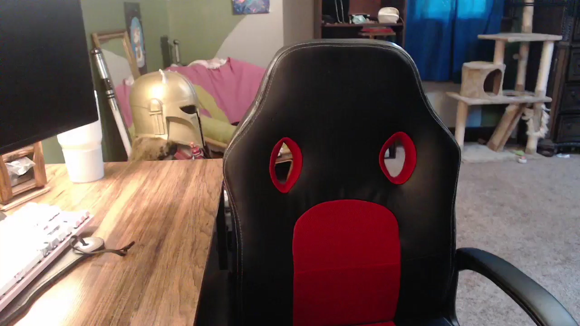 Gallery image thumbnail from AstraeaSiren's myfreecams stream on, 11/03/2025, 21:33 image 11 of 20